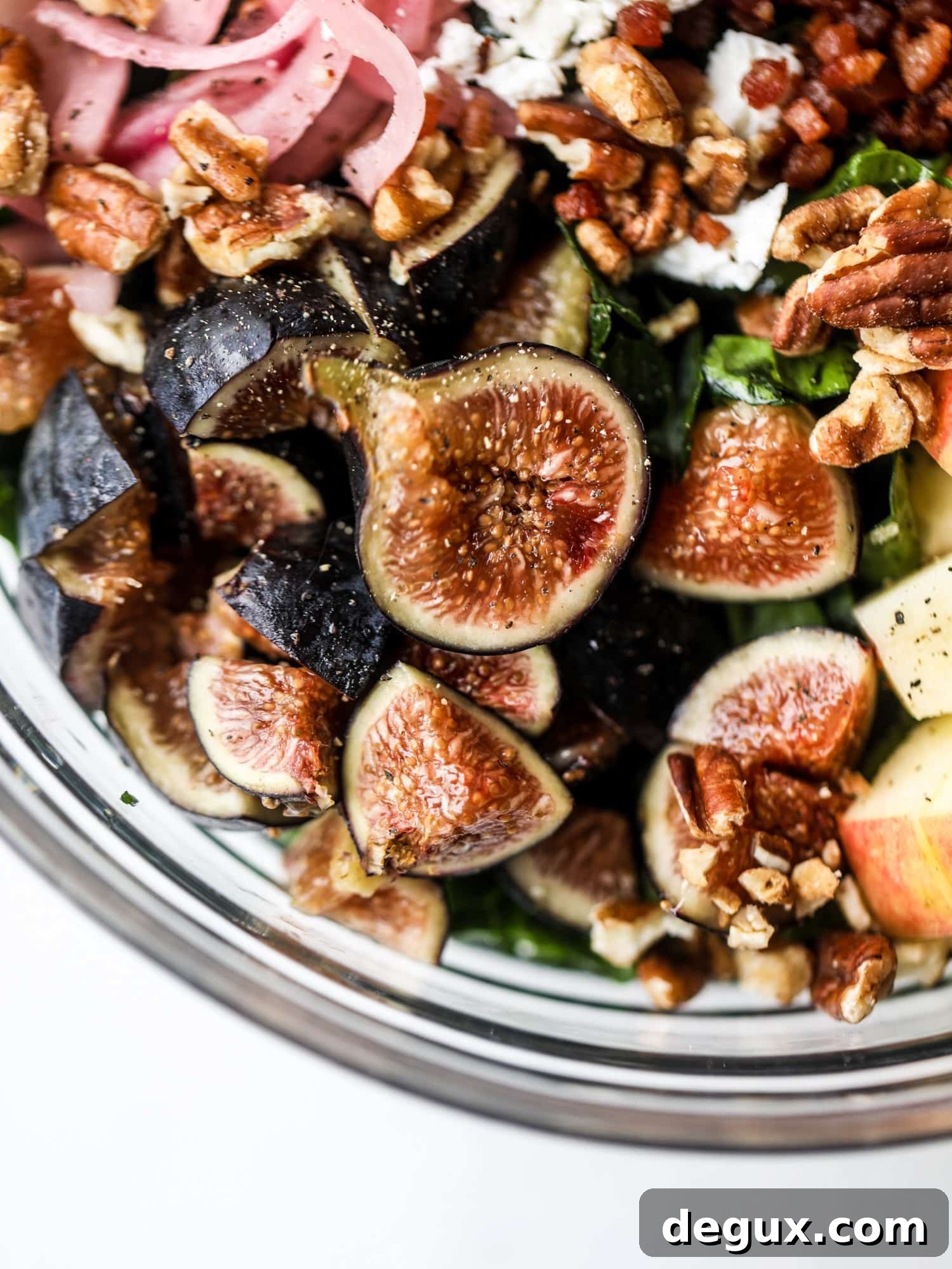 This fall kale salad is perfect for the season and full of so much delicious flavor! Shredded kale, honeycrisp apple, fresh figs, pancetta, pickled onions, pecans and goat cheese come together with a maple cider vinaigrette for salad heaven. I howsweeteats.com #fall #kale #salad #apples #figs #pecans