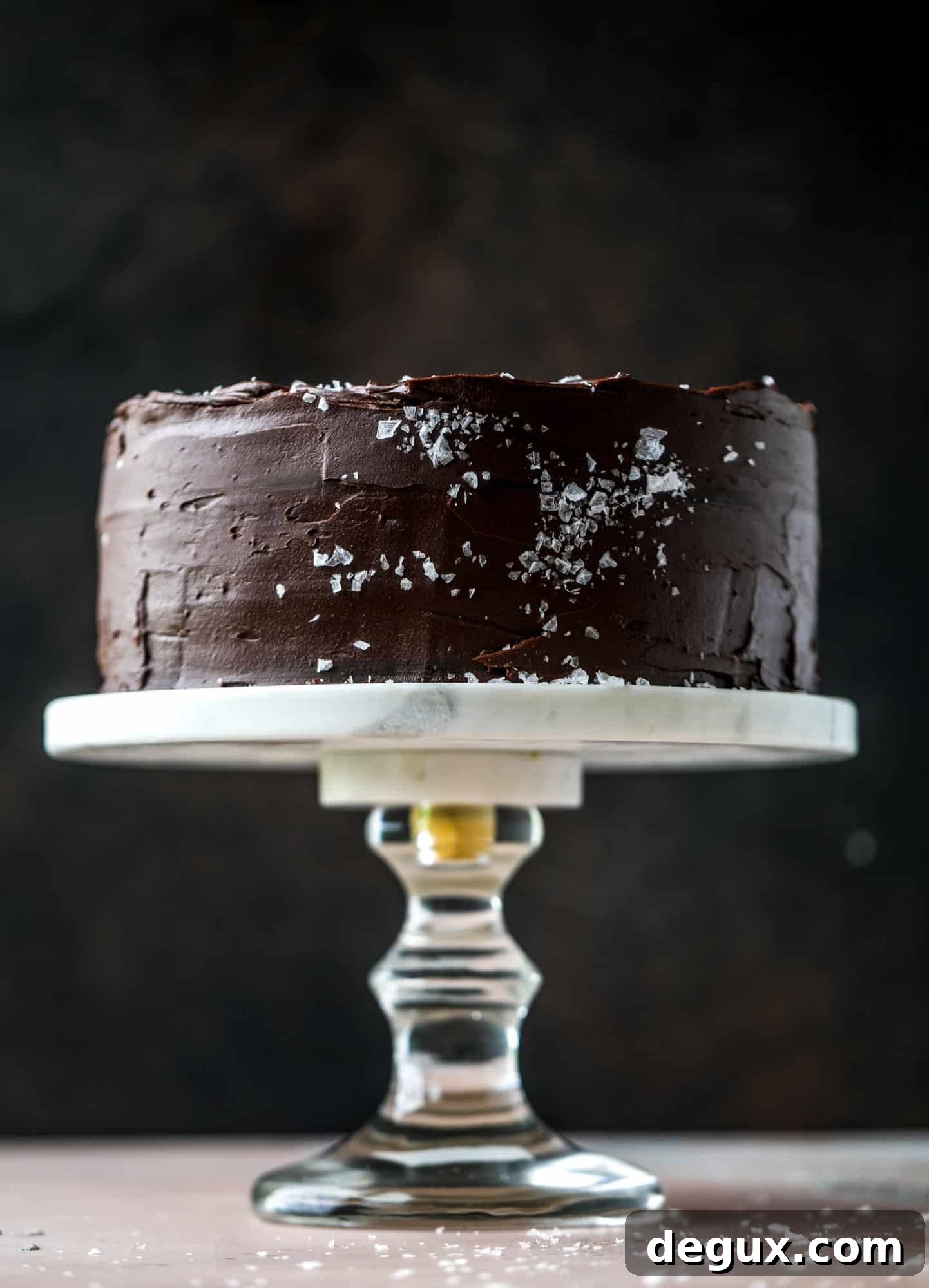 This salted dark chocolate stout cake is absolutely divine! It's ridiculously rich and perfect for a crowd or a party. Pumpkin stout batter is baked into fluffy laters and covered in a super fudgy chocolate ganache. Perfect for chocolate lovers! I howsweeteats.com #dark #chocolate #stout #cake #salted