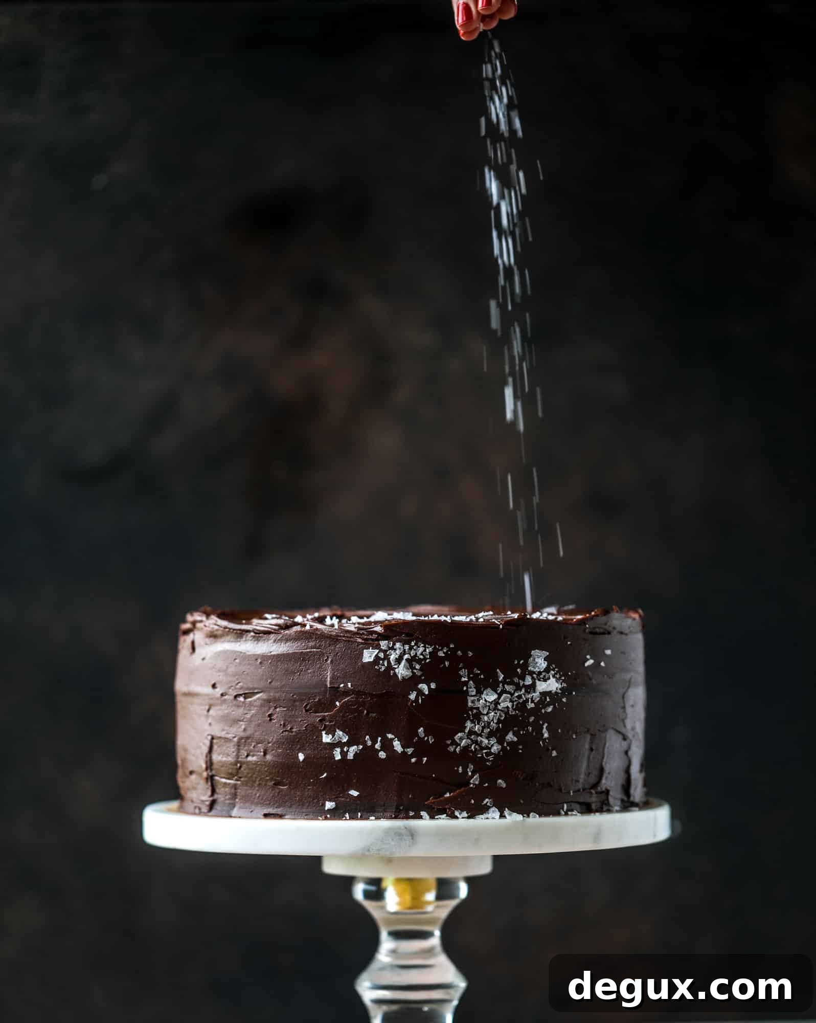 This salted dark chocolate stout cake is absolutely divine! It's ridiculously rich and perfect for a crowd or a party. Pumpkin stout batter is baked into fluffy laters and covered in a super fudgy chocolate ganache. Perfect for chocolate lovers! I howsweeteats.com #dark #chocolate #stout #cake #salted