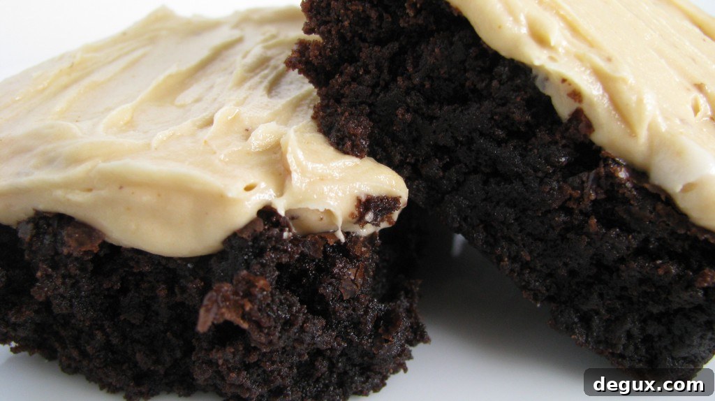 Served Brownies Served Brownies