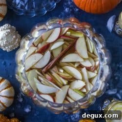 Autumn Pumpkin Sangria Recipe for Fall Entertaining 6 img 56531 6