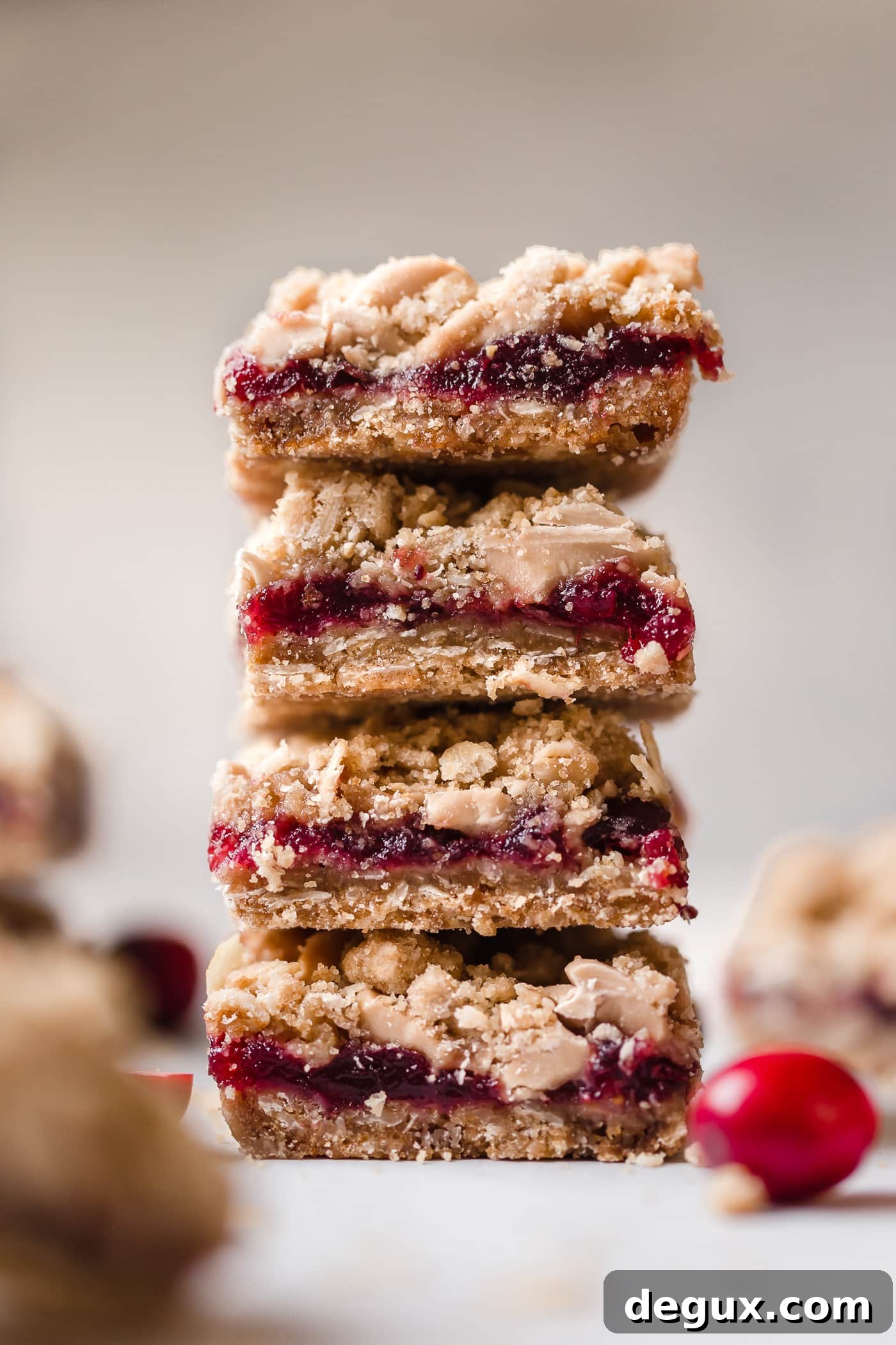This is my go-to holiday entertaining guide for the season! 16 brand new exclusive recipes, all of my tips and tricks for hosting during the holidays along with my entertaining cheat sheet to make the season so much fun! I howsweeteats.com