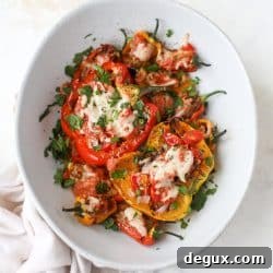 Fire-Roasted Pulled Pork Stuffed Peppers Recipe 9 img 57207 8