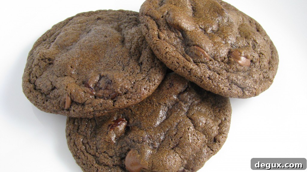IMG_4100 Close-up of cookie