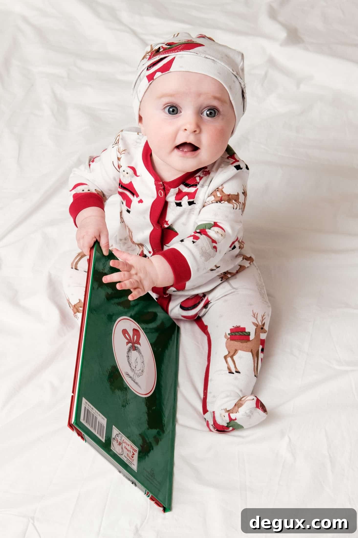 merry christmas I howsweeteats.com