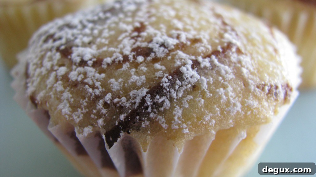 Marble cupcakes Marble swirl cupcakes