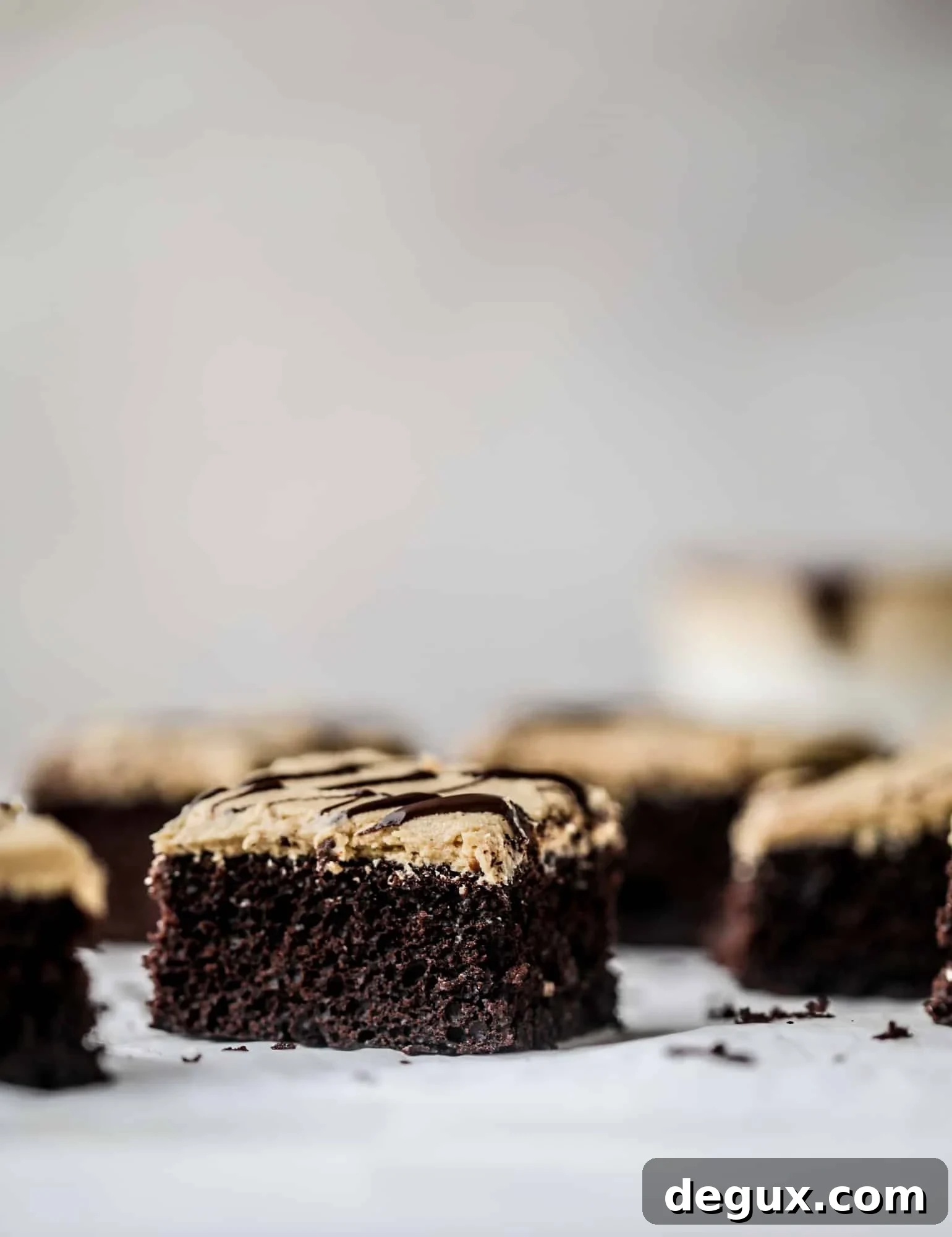 Chocolate Sheet Cake with Creamy Peanut Butter Frosting 11 Easy chocolate peanut butter cake is the way to my heart. Moist chocolate cake, fluffy peanut butter frosting. It's the perfect dessert, anytime! I howsweeteats.com #chocolatepeanutbutter #cake