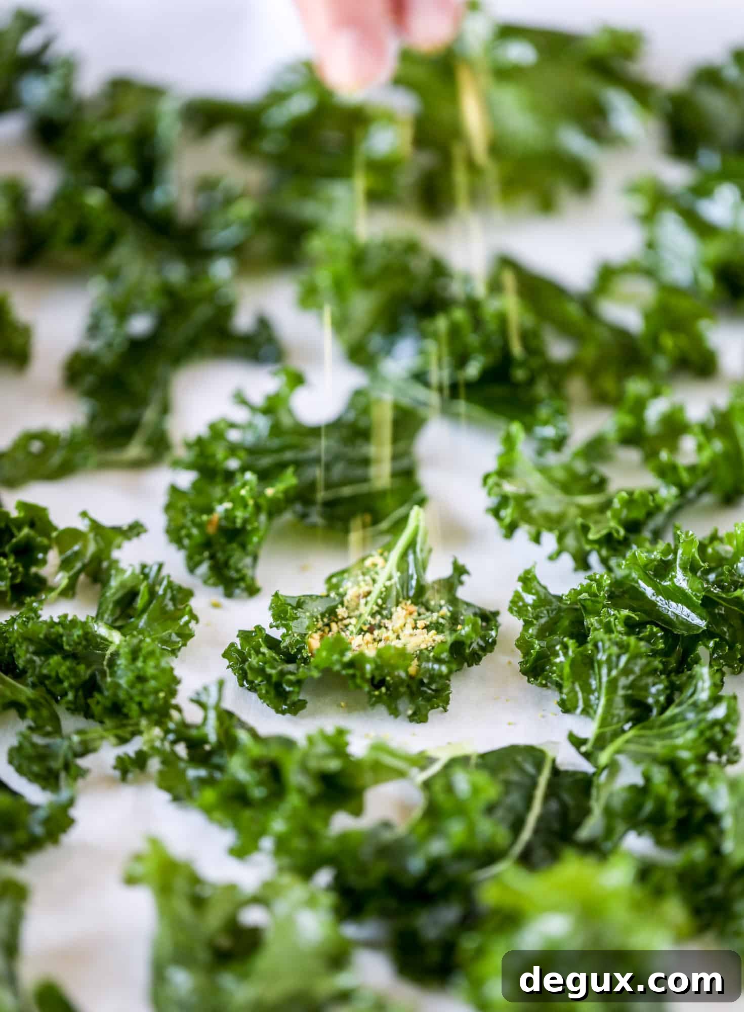 Parmesan Pistachio Kale Chips — Crispy Holiday Side Dish 2 Parmesan pistachio kale chips are an easy and healthy snack - full of nutty, cheesy flavor and crispy like regular chips!