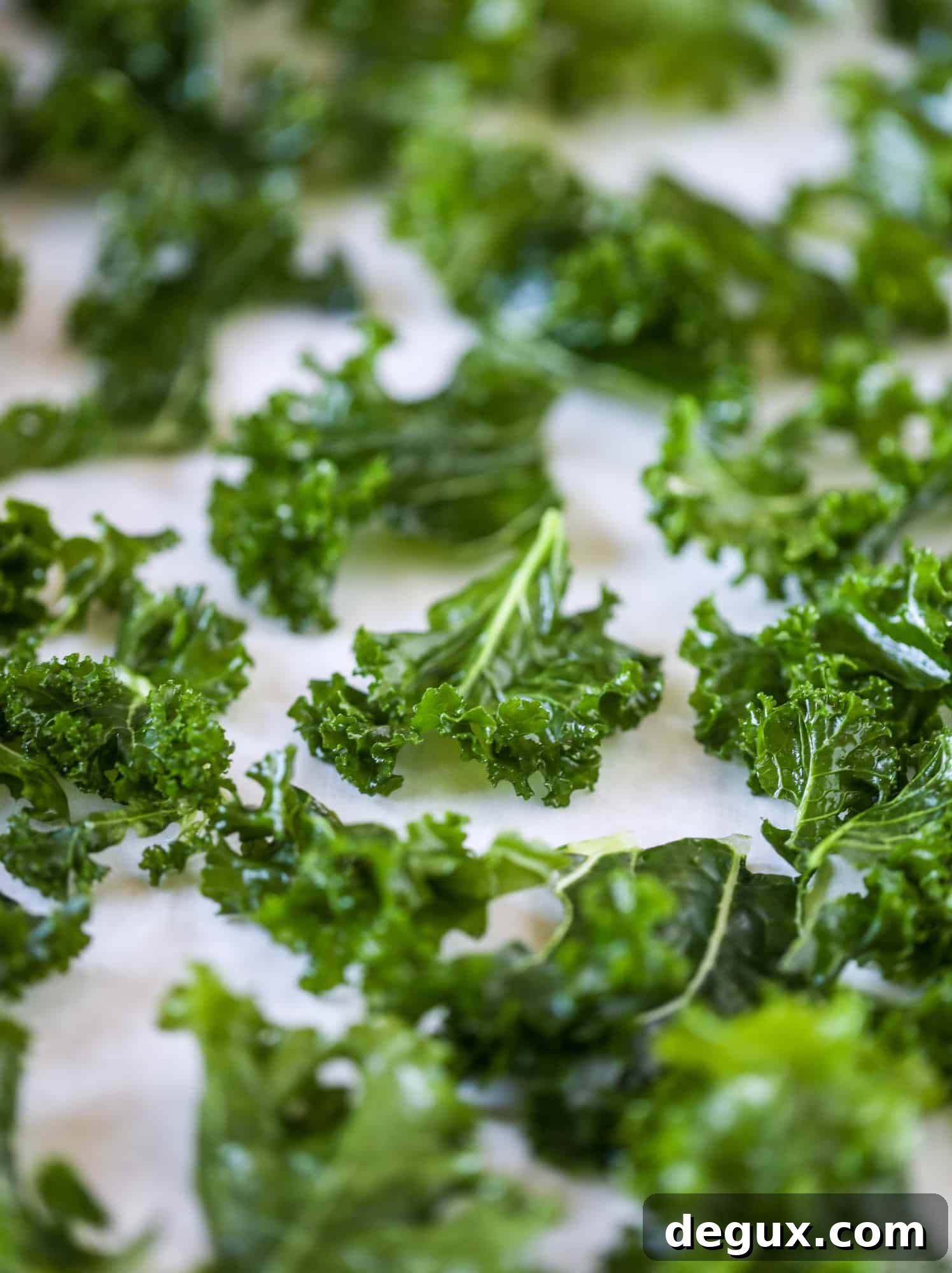 Parmesan Pistachio Kale Chips — Crispy Holiday Side Dish 4 Parmesan pistachio kale chips are an easy and healthy snack - full of nutty, cheesy flavor and crispy like regular chips!