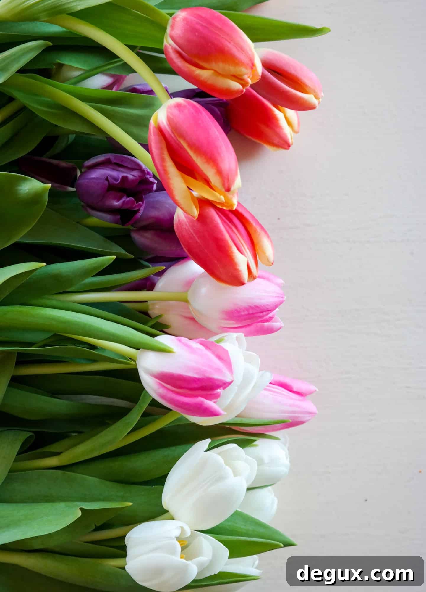 currently crushing on I howsweeteats.com