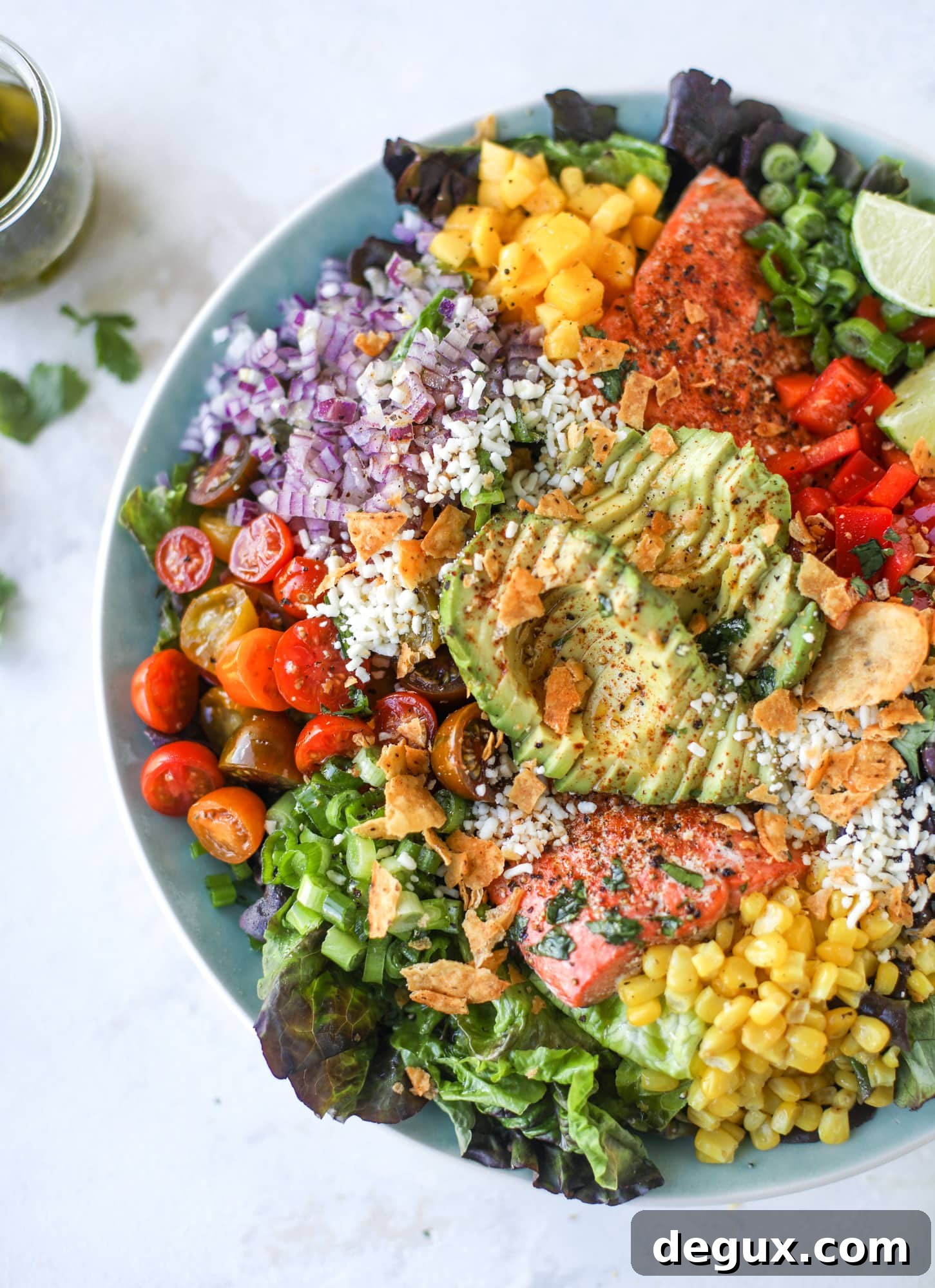 Southwest Salmon Salad Recipe with Avocado and Corn Salsa 9 Southwest Salmon Salad