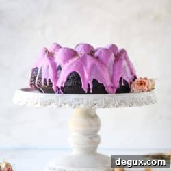 Indulgent Dark Chocolate Dragon Fruit Cake Recipe 11 img 59863 10