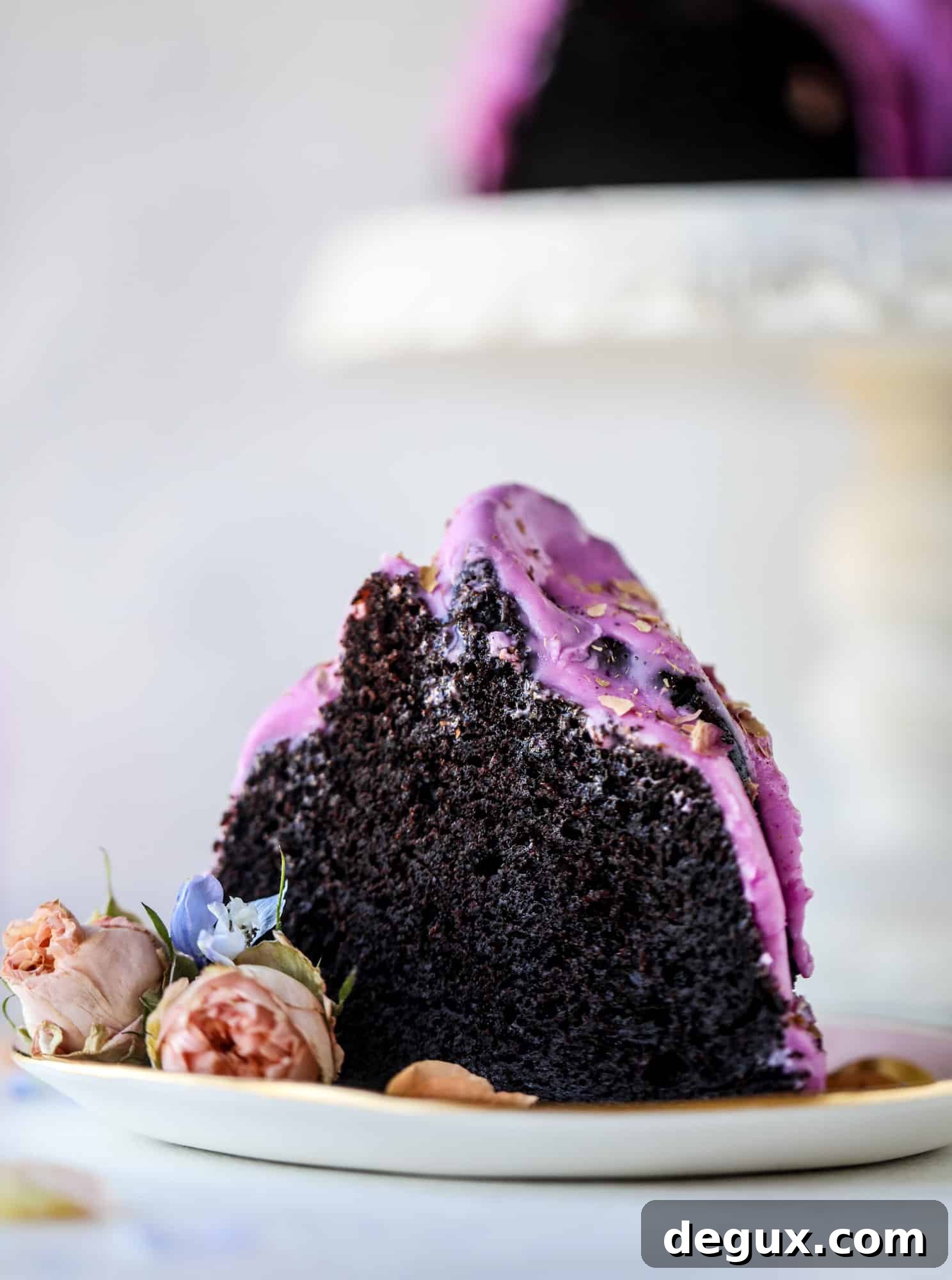 Indulgent Dark Chocolate Dragon Fruit Cake Recipe 10 chocolate dragon fruit cake slice