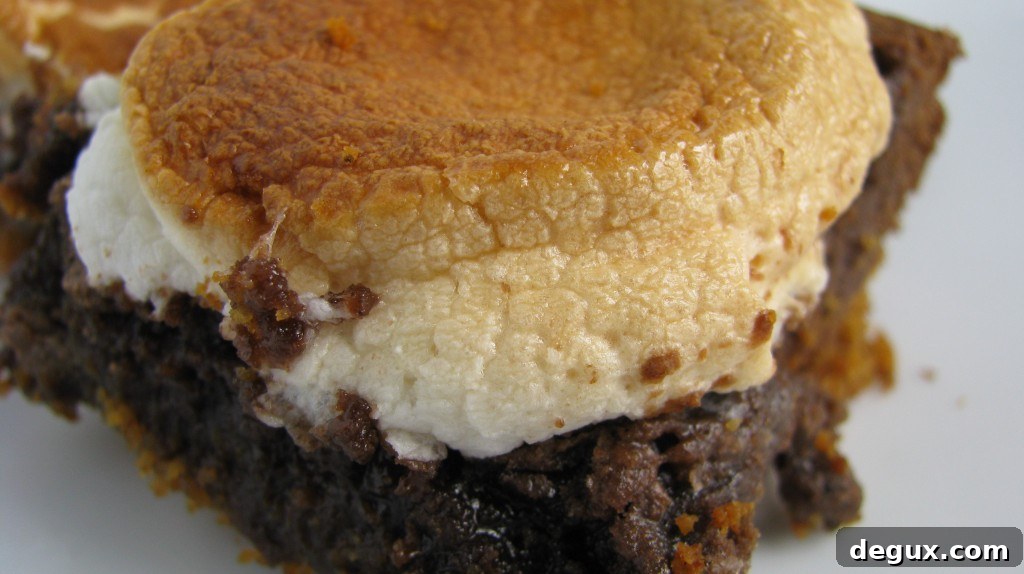 S'mores Brownies I howsweeteats.com