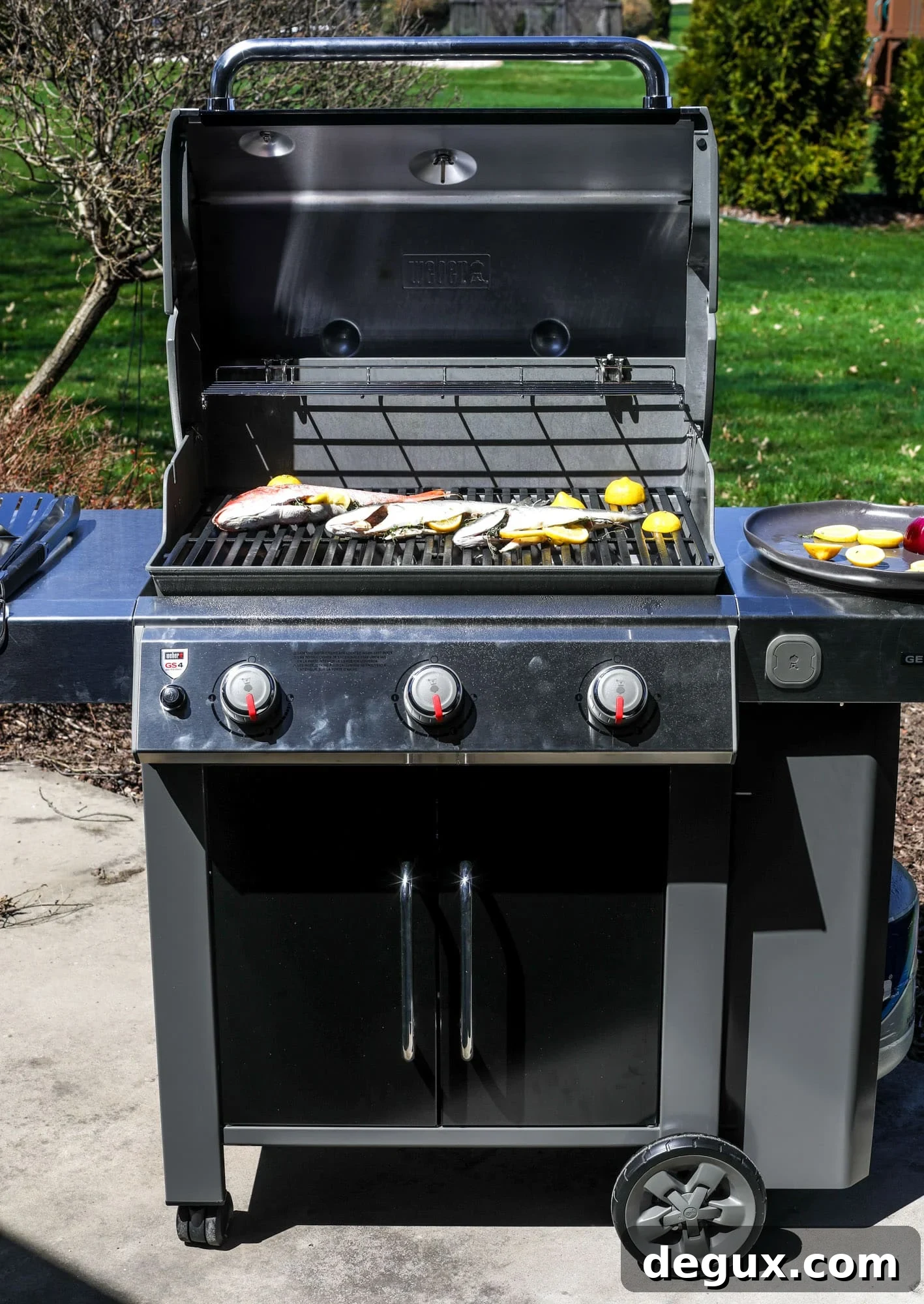 The Home Depot Weber Genesis II E315 grill
