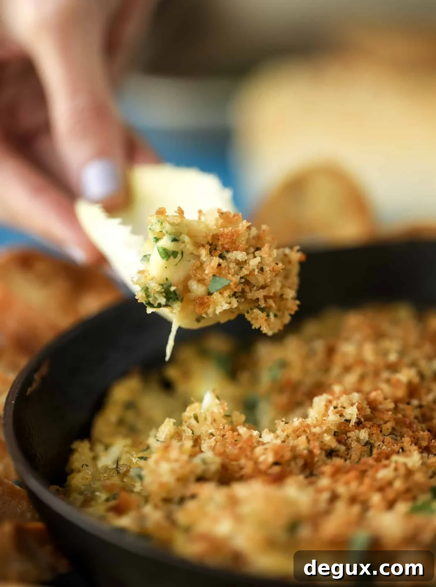 Creamy Deviled Crab Dip Recipe for Parties and Appetizers 7 This deviled crab dip is the perfect hot summer appetizer. Lump crab, a creamy, decadent sauce, crunchy breadcrumbs and fresh endive for dipping. YES.