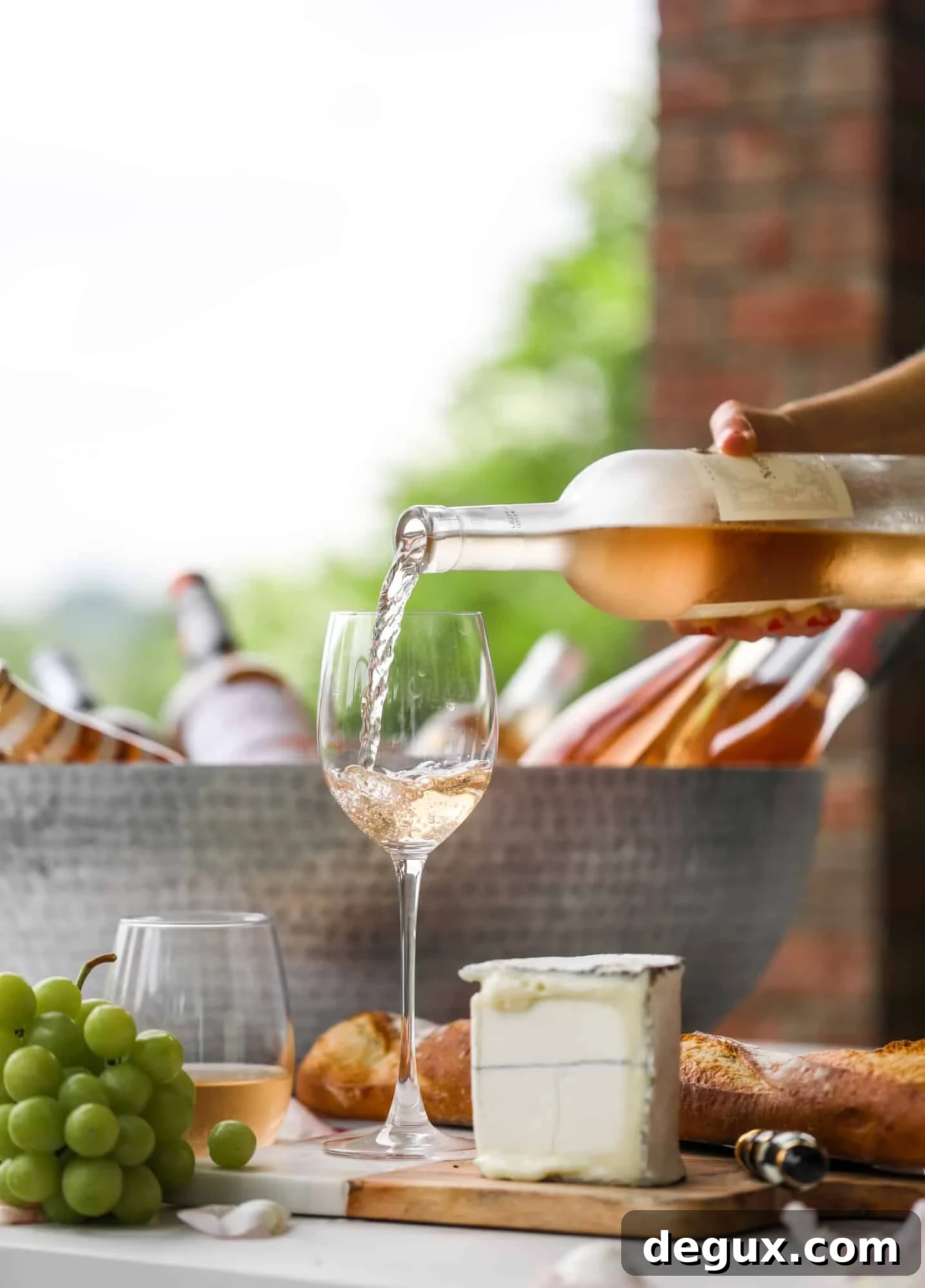 Summer 2019 Rosé Buying Guide: Top Picks and Tasting Notes 3 My summer 2019 rosé guide is here! All of my favorites, categorized by priced point and even including canned rosé. So perfect with a wedge of cheese.