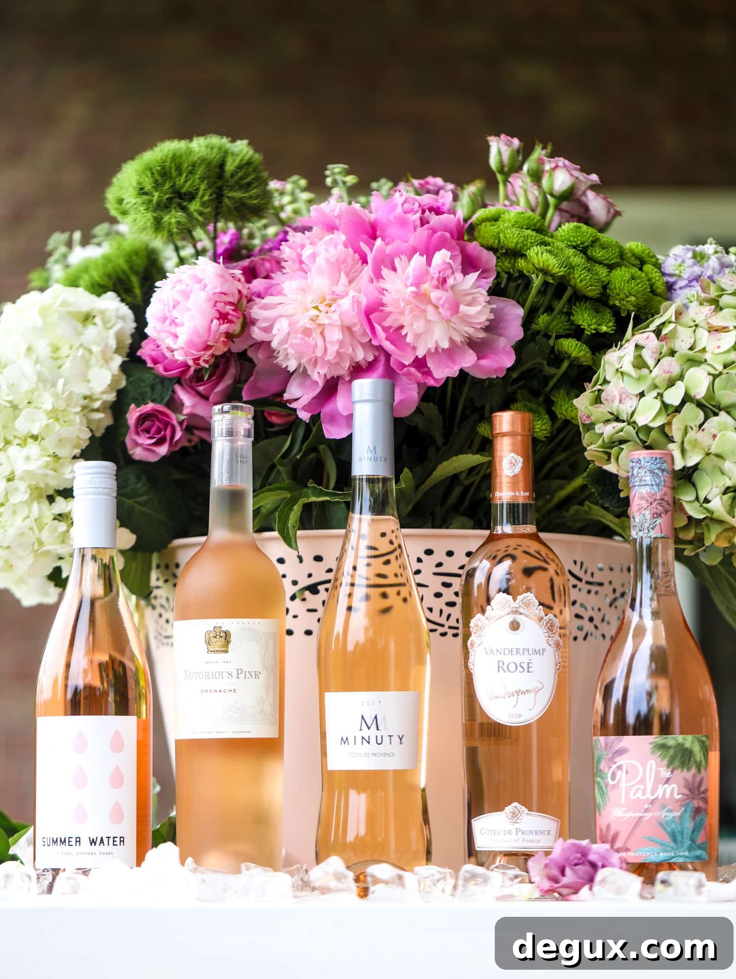 Summer 2019 Rosé Buying Guide: Top Picks and Tasting Notes 6 under $20 rosé guide