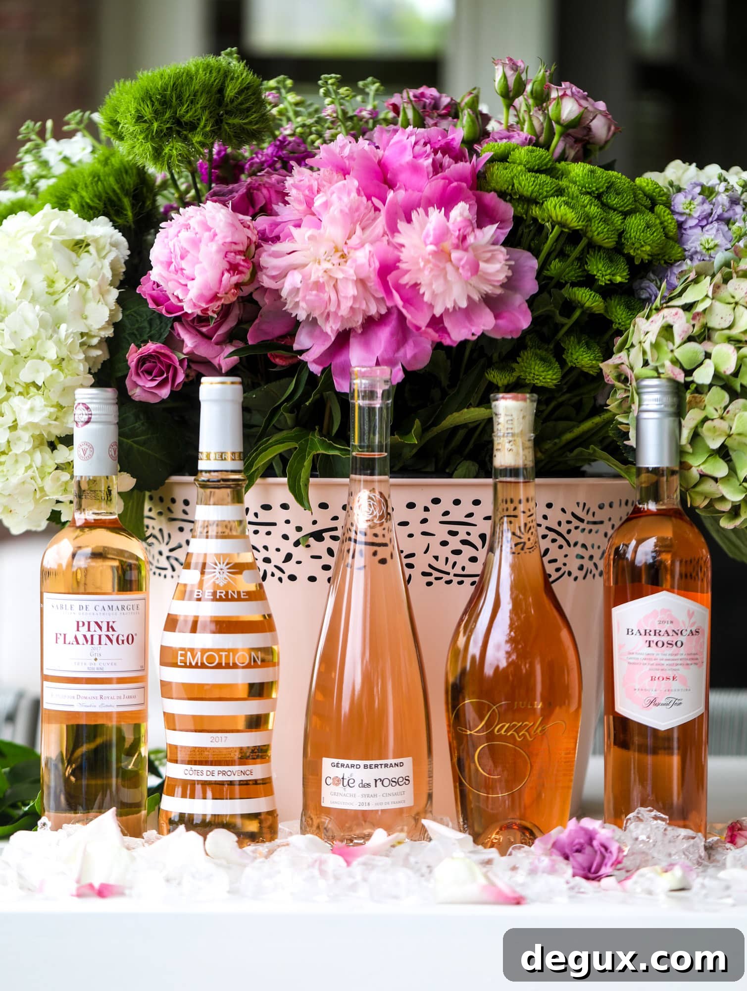 Summer 2019 Rosé Buying Guide: Top Picks and Tasting Notes 7 under $15 rosé guide