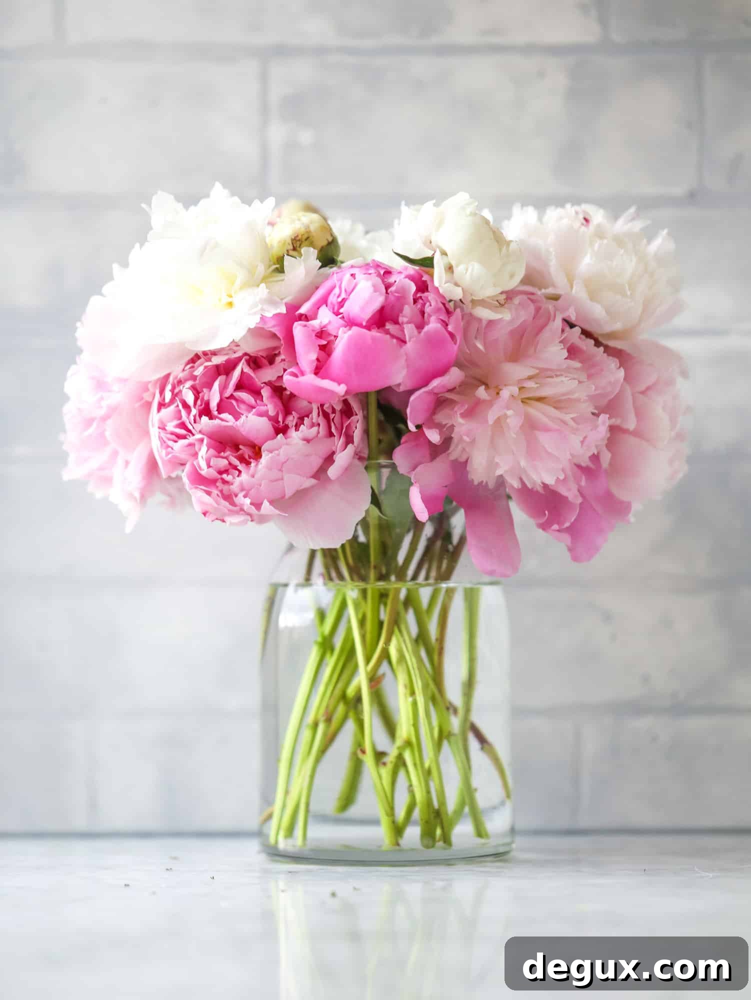 summer fridays on howsweeteats