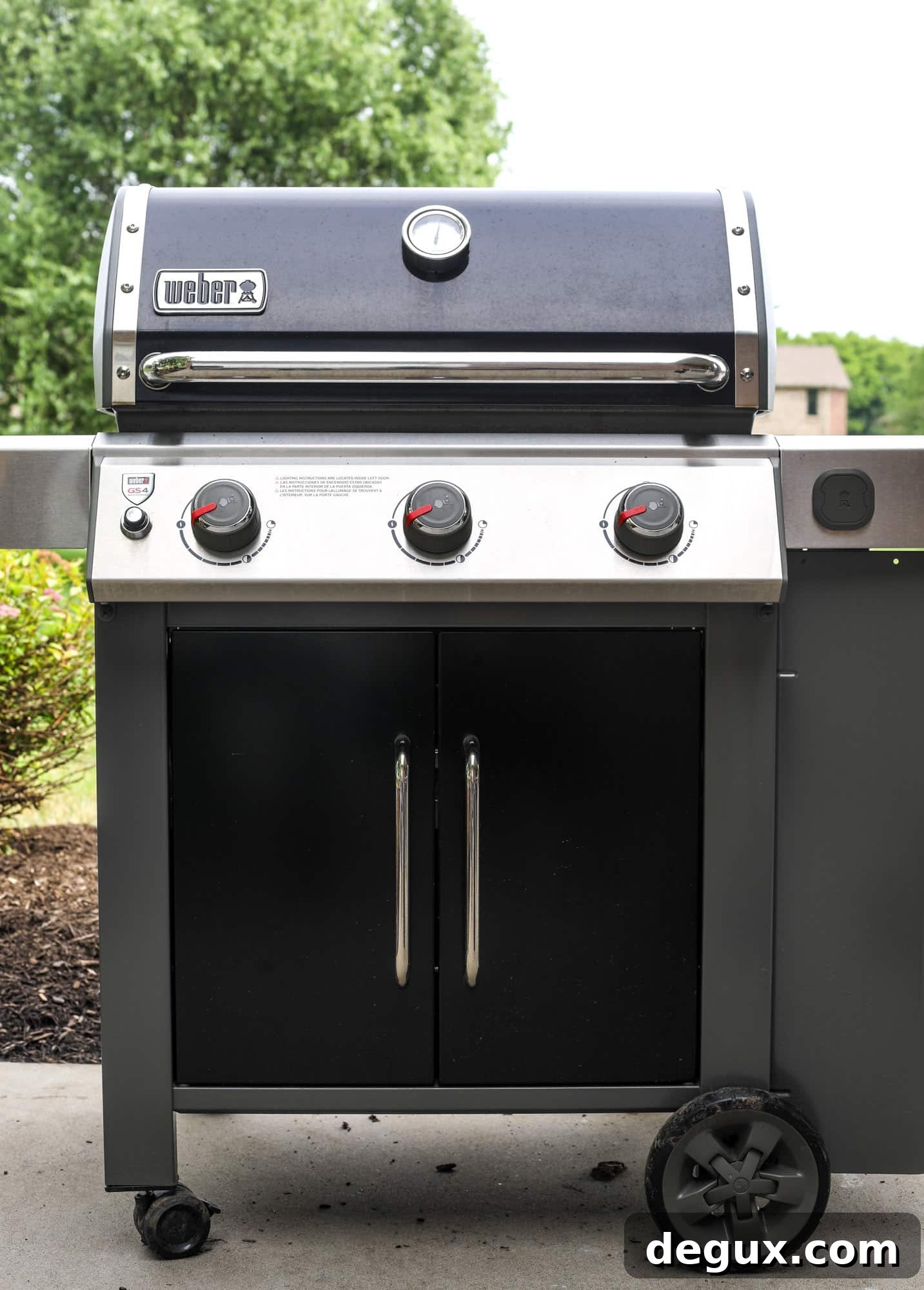 weber genesis II grill
