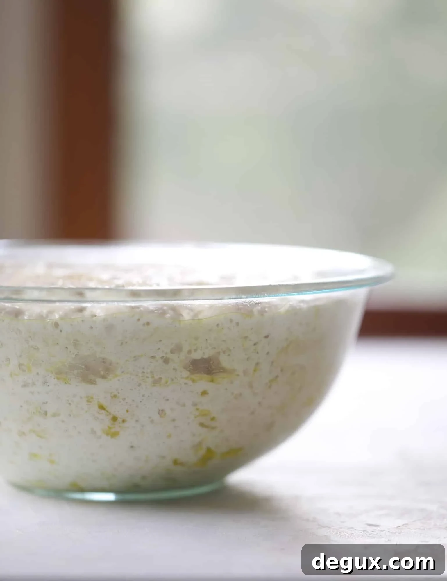 pizza dough rising