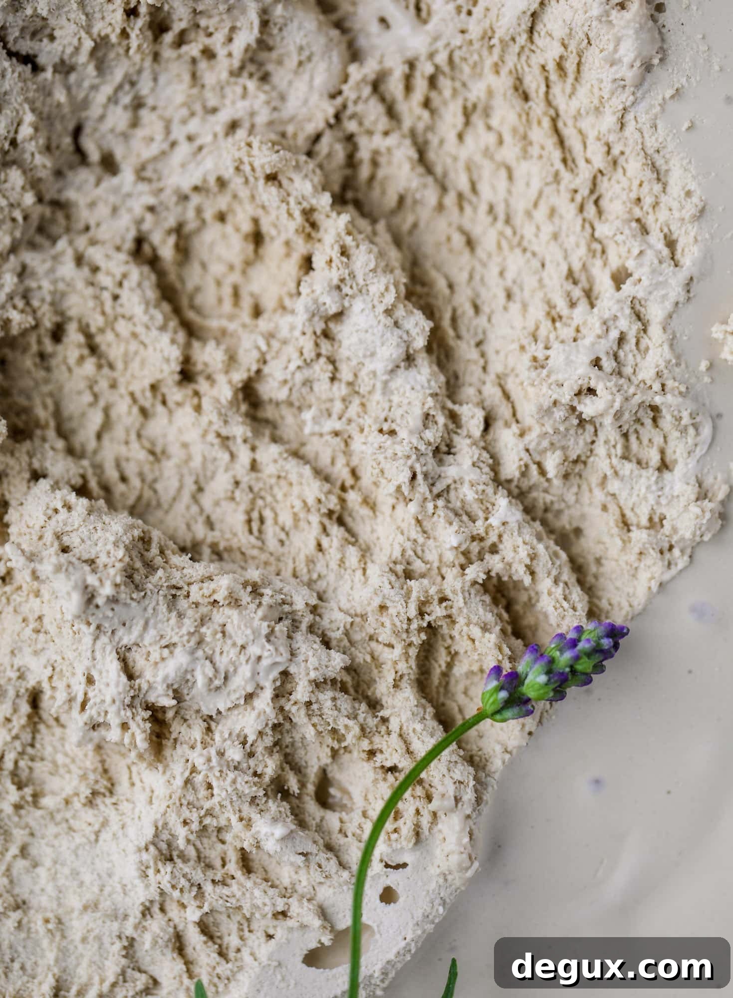 This lavender coffee ice cream is my favorite morning drink in dessert form! Fresh lavender, vanilla and a whole bunch of spices make this incredible.