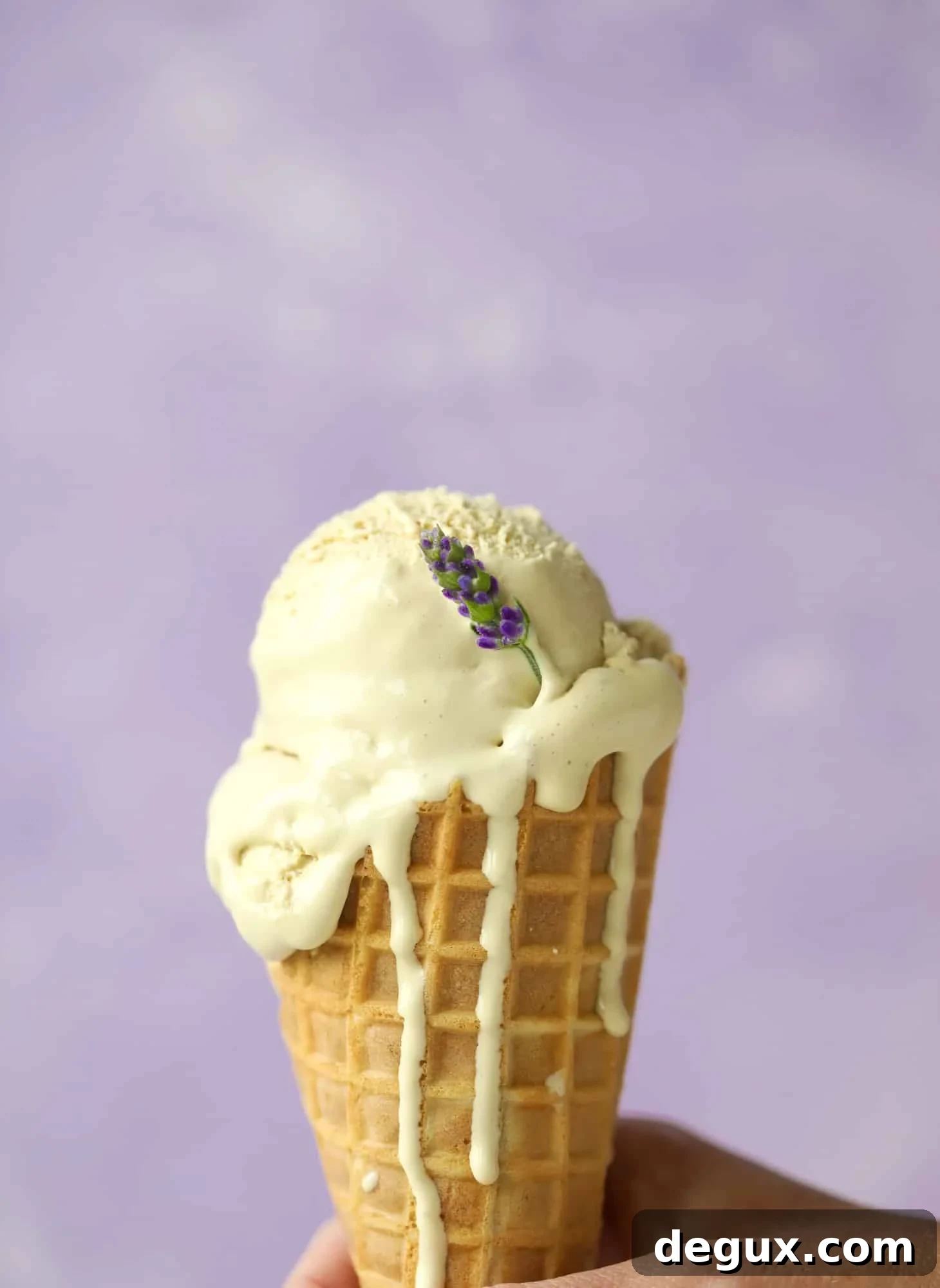 This lavender coffee ice cream is my favorite morning drink in dessert form! Fresh lavender, vanilla and a whole bunch of spices make this incredible.