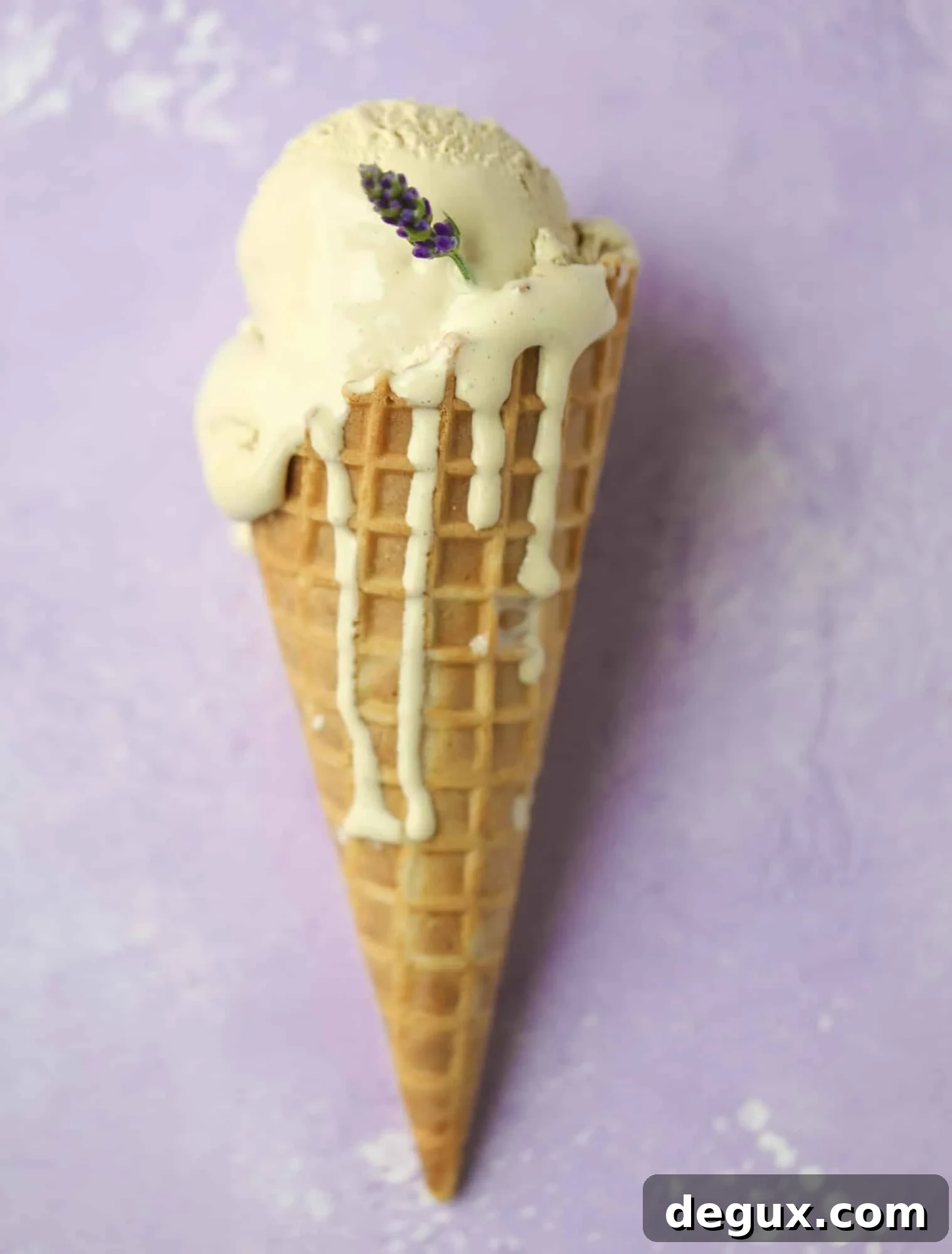 This lavender coffee ice cream is my favorite morning drink in dessert form! Fresh lavender, vanilla and a whole bunch of spices make this incredible.