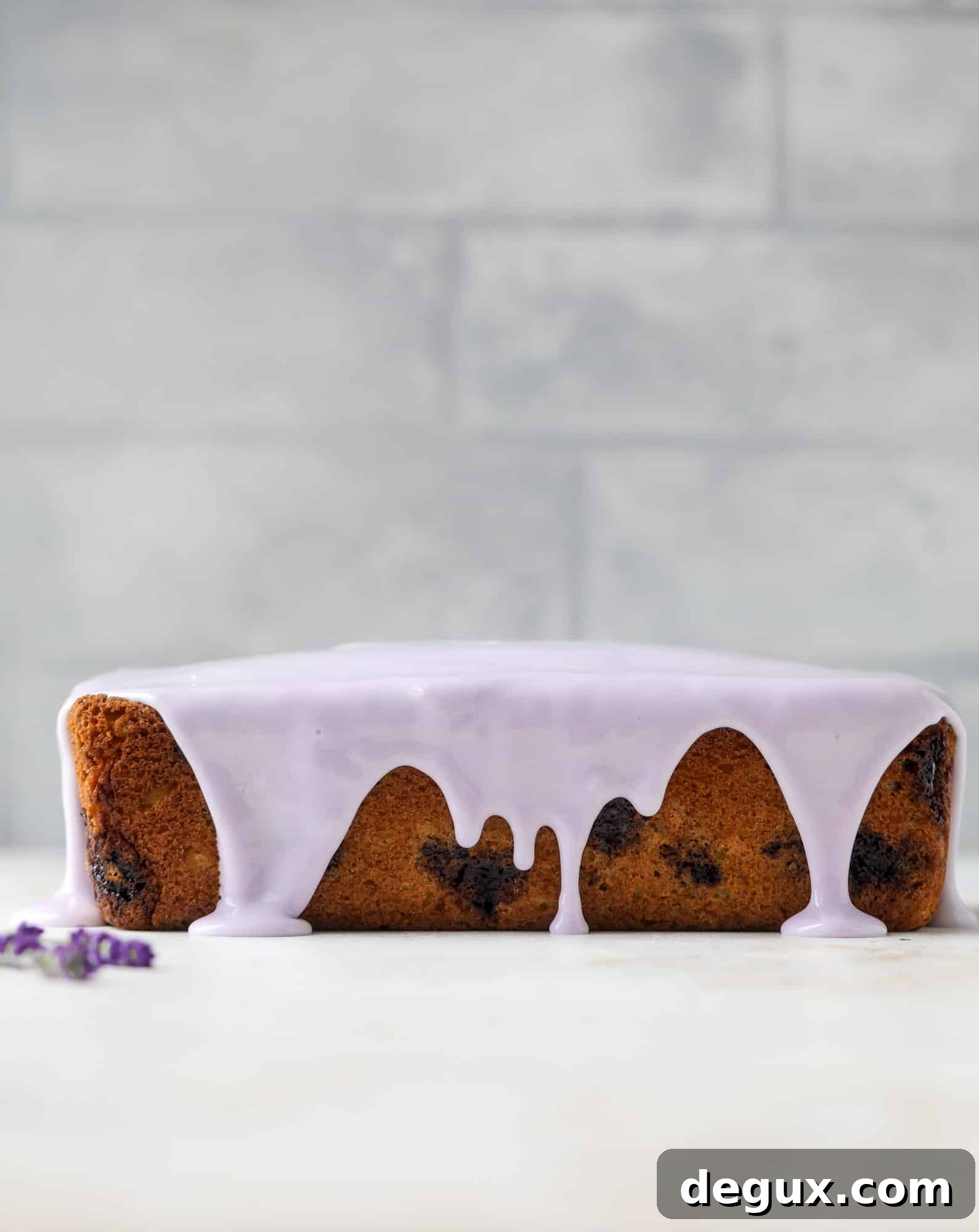 This lovely blueberry ricotta cake is covered in a lavender glaze and the perfect recipe for blueberry season! It's rich and light and super flavorful.