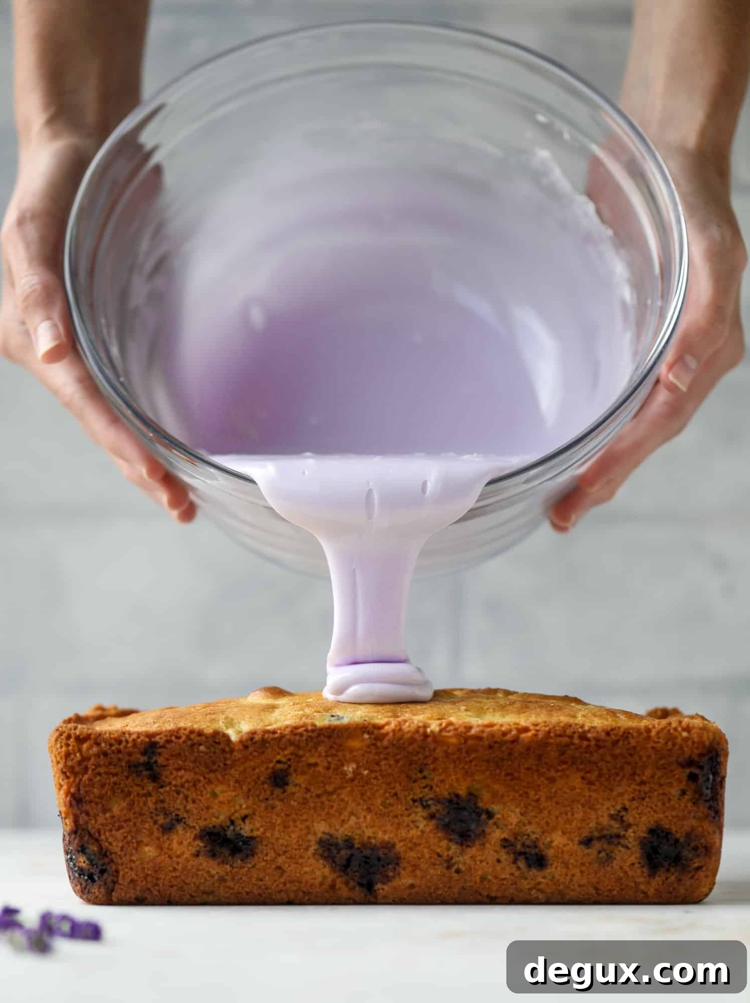 This lovely blueberry ricotta cake is covered in a lavender glaze and the perfect recipe for blueberry season! It's rich and light and super flavorful.