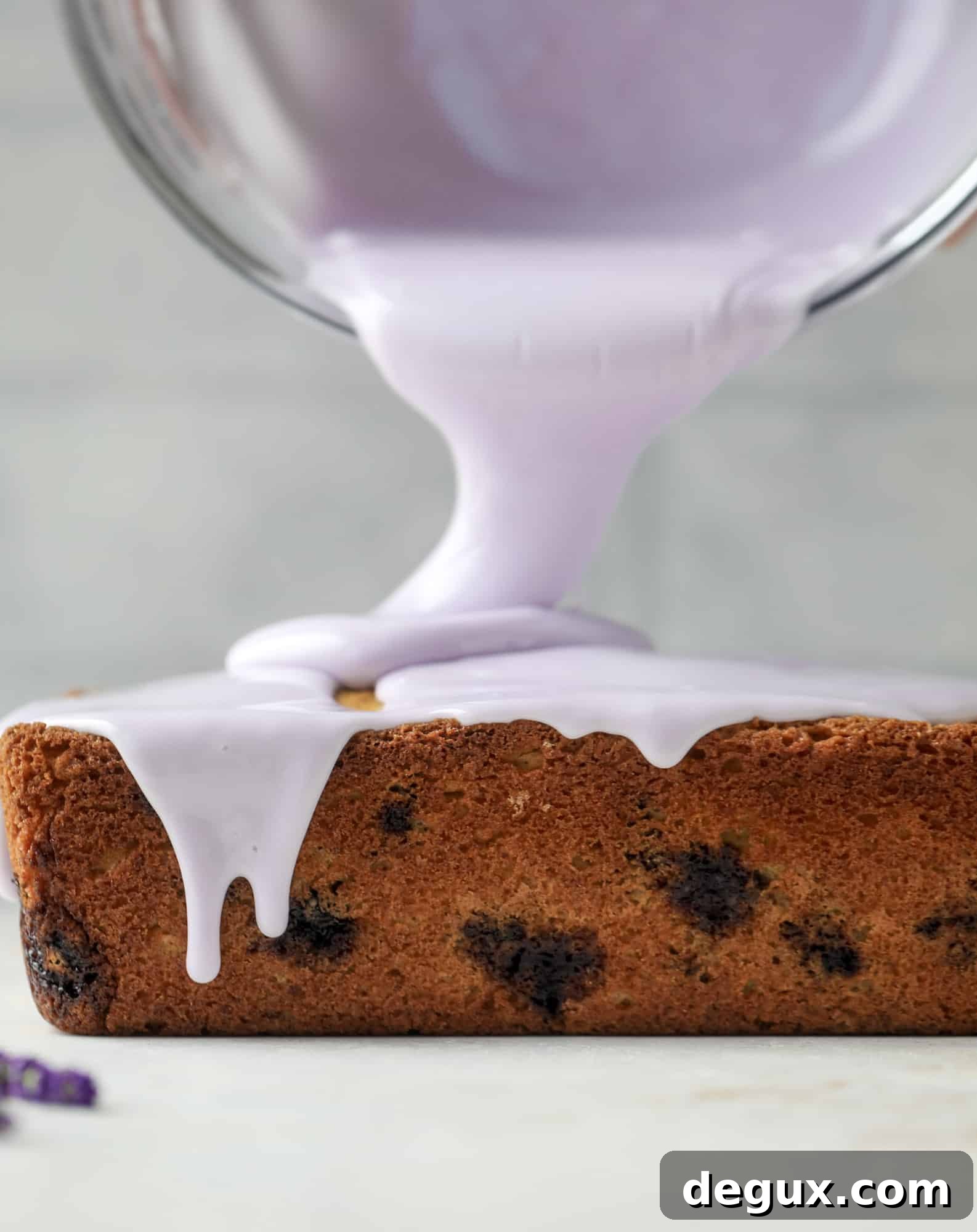This lovely blueberry ricotta cake is covered in a lavender glaze and the perfect recipe for blueberry season! It's rich and light and super flavorful.