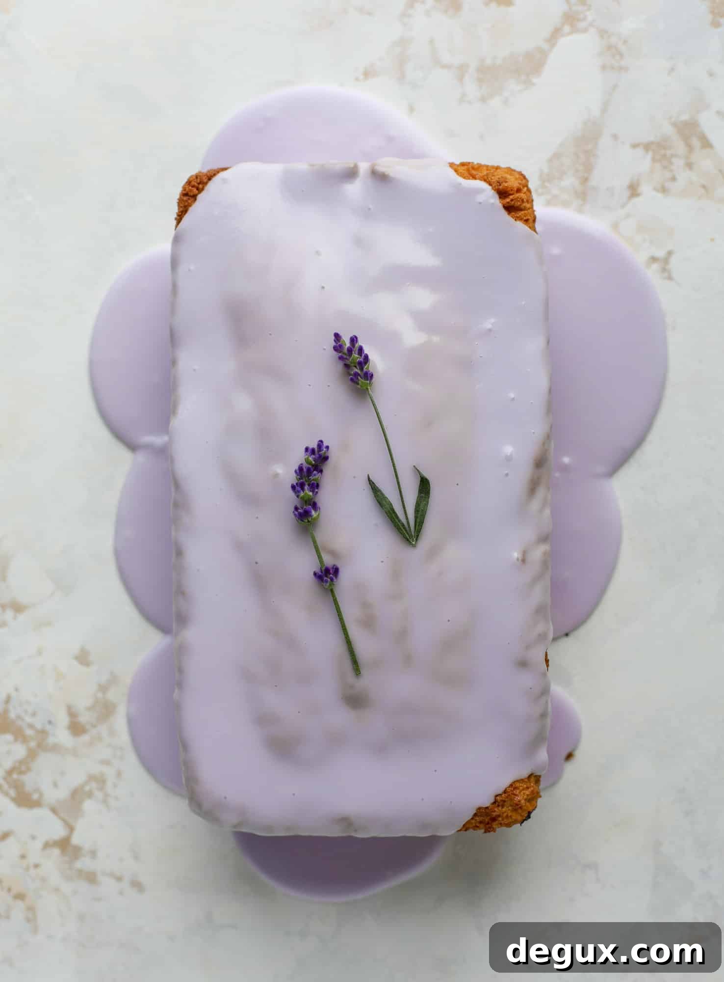 This lovely blueberry ricotta cake is covered in a lavender glaze and the perfect recipe for blueberry season! It's rich and light and super flavorful.