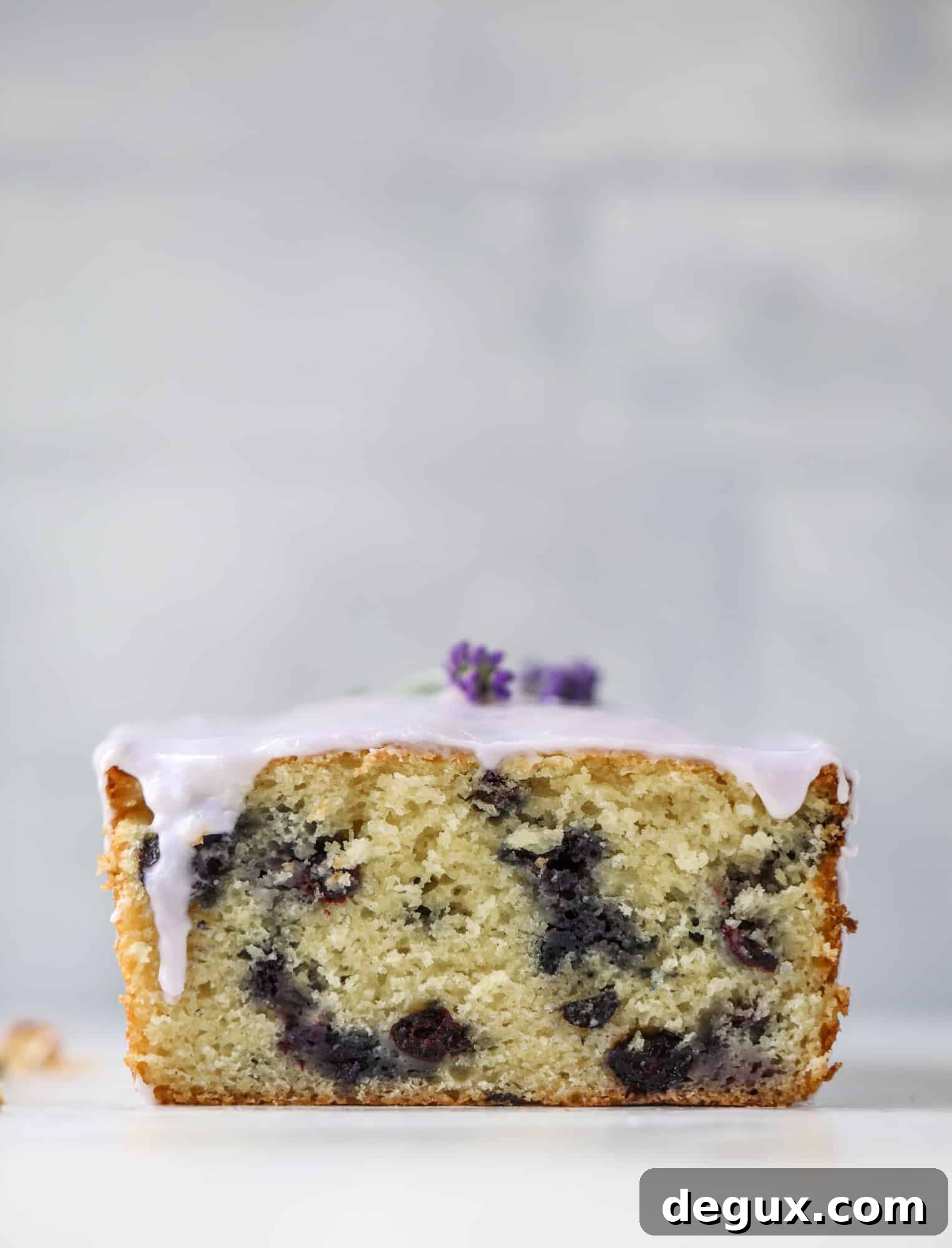 This lovely blueberry ricotta cake is covered in a lavender glaze and the perfect recipe for blueberry season! It's rich and light and super flavorful.