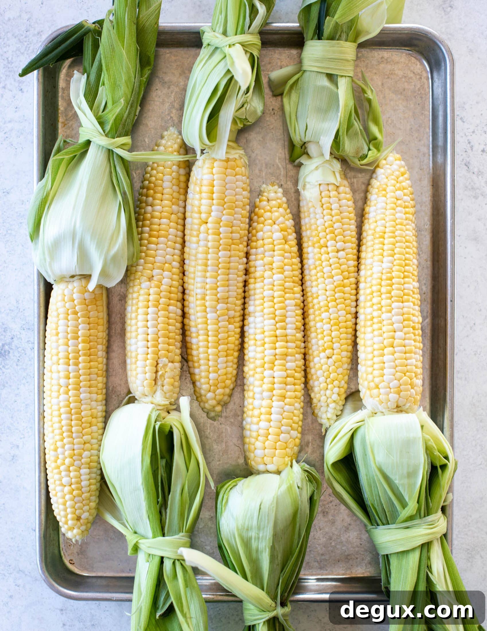 sweet corn with husks tied on 