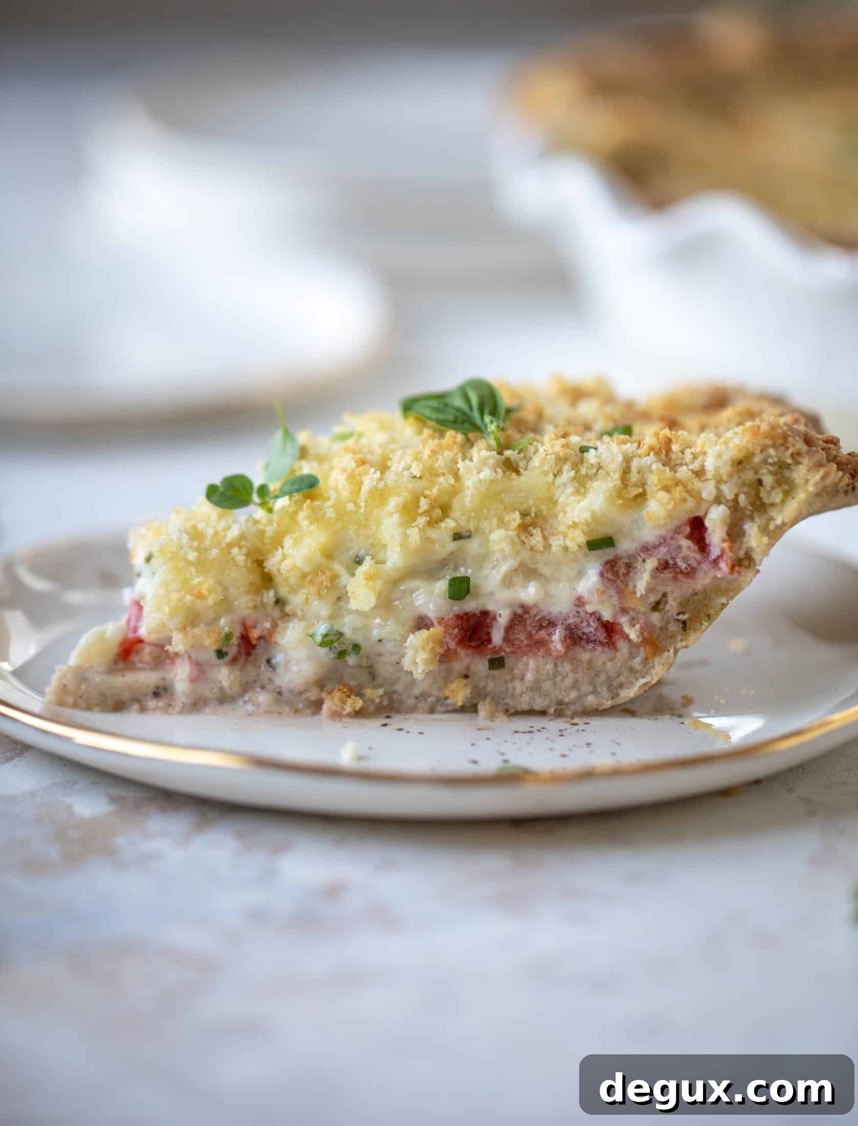 This summer tomato pie is the best dinner ever! Cheddar herb crust, ripe, juicy tomatoes and a cheesy, crunchy layer on top. It's irresistible. 