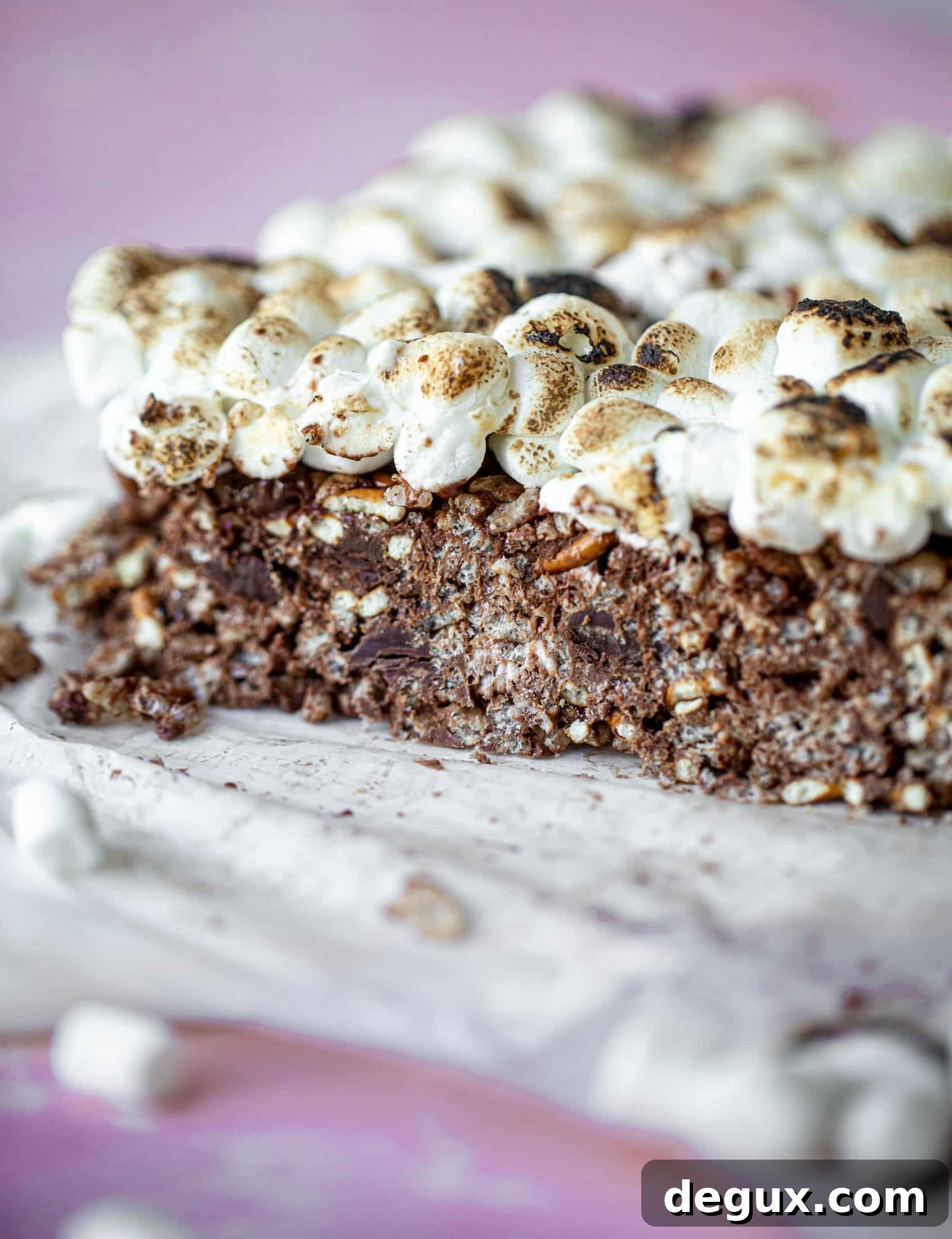 These indulgent s'mores bars are crispy and crunchy and studded with salted pretzels! Toasted marshmallow and dark chocolate make these the best treat ever!