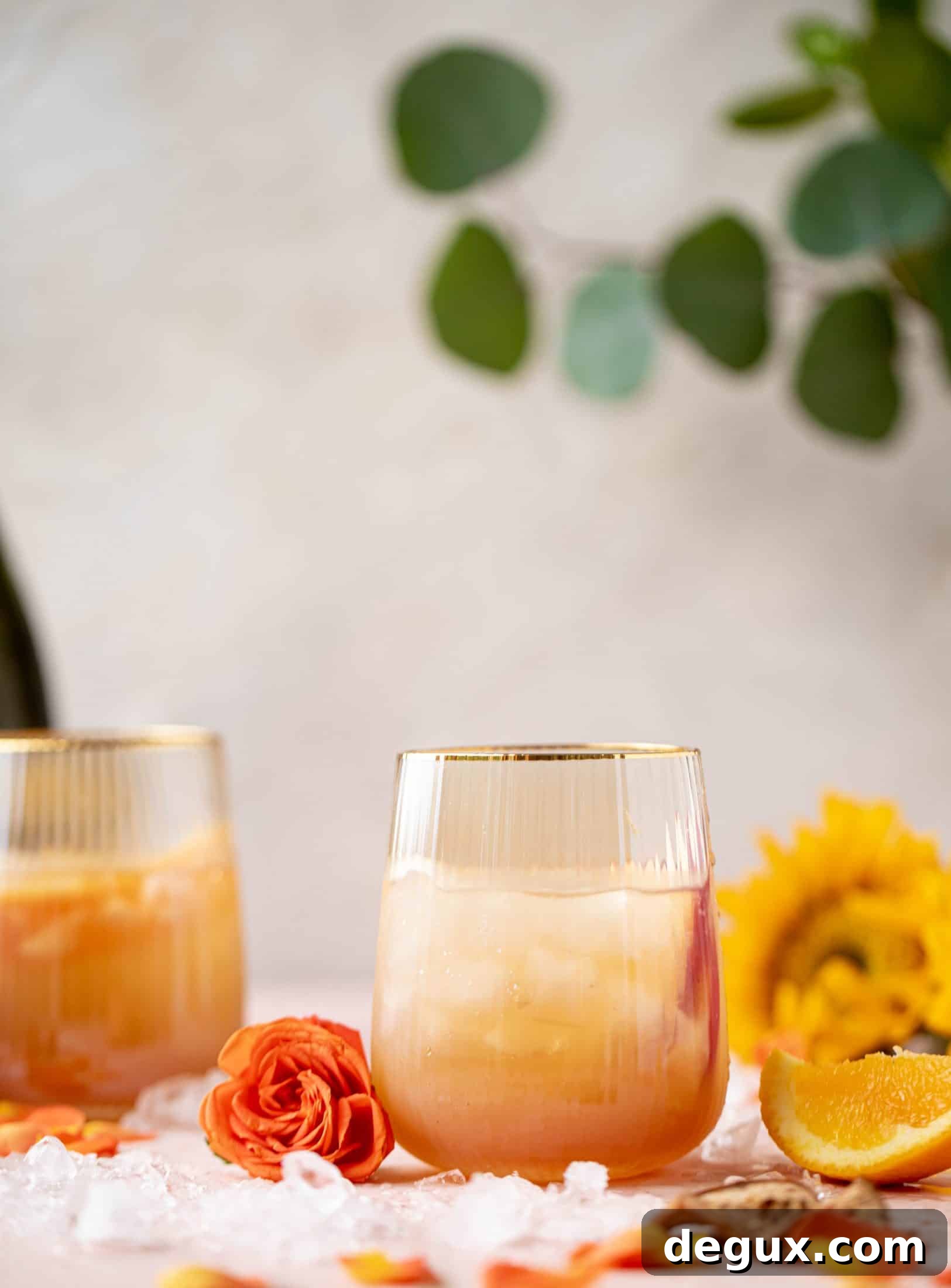 Apple Cider Prosecco Spritz Recipe for Autumn Cocktails 8 This apple cider spritz is an autumnal take on the classic aperol spritz. Apple cider, prosecco and aperol come together in this refreshing cocktail!