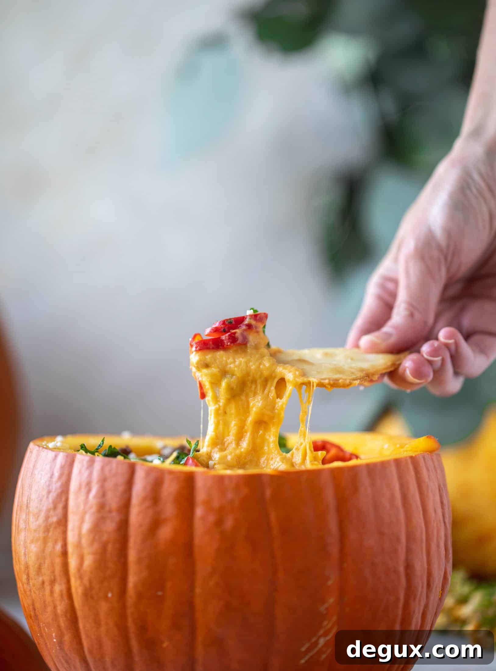 Pumpkin Queso Fundido Recipe: Creamy Autumn Dip for Parties 6 This pumpkin queso fundido is the perfect indulgence for fall. Warm pumpkin queso topped with chroizo, pepitas and jalapeños. It's delish!