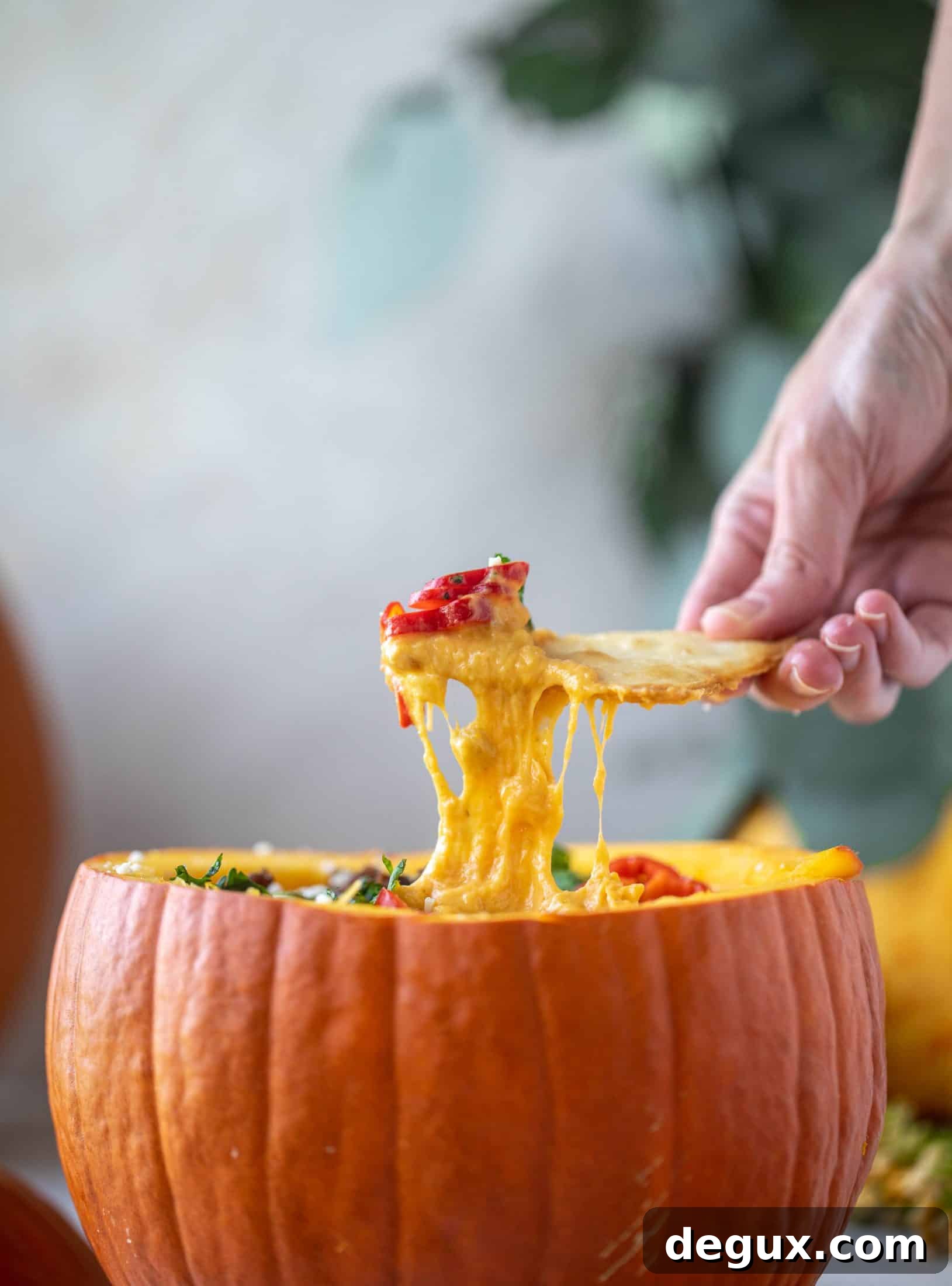 Pumpkin Queso Fundido Recipe: Creamy Autumn Dip for Parties 9 This pumpkin queso fundido is the perfect indulgence for fall. Warm pumpkin queso topped with chroizo, pepitas and jalapeños. It's delish!