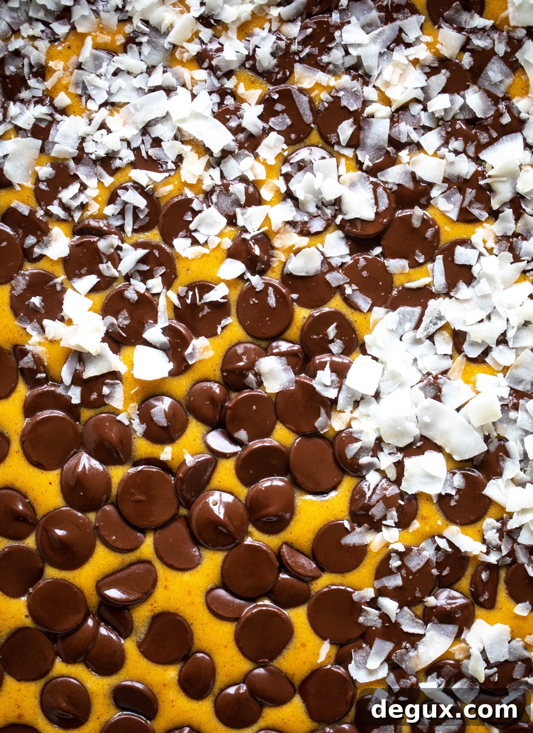 Pumpkin gooey bars are a decadent chocolate, coconut and pumpkin dessert! Crunchy graham crust, gooey pumpkin center and a crisp topping. Yum!