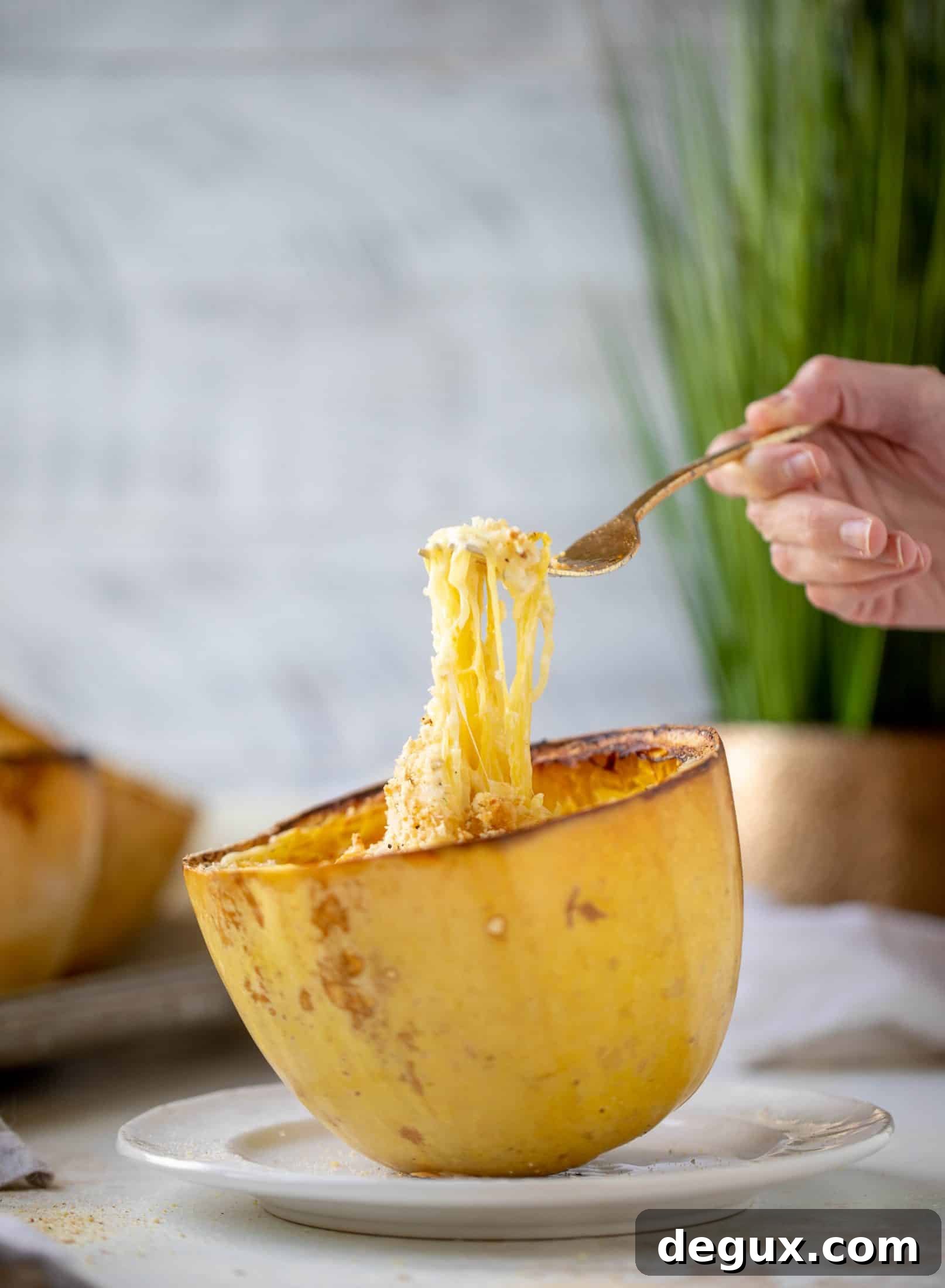Three-Cheese Spaghetti Squash Bake: Creamy, Savory Dinner 2 Three cheese spaghetti squash in a squash bowl! Squash tossed with fontina, gruyere and parmesan to make a creamy comforting meal.