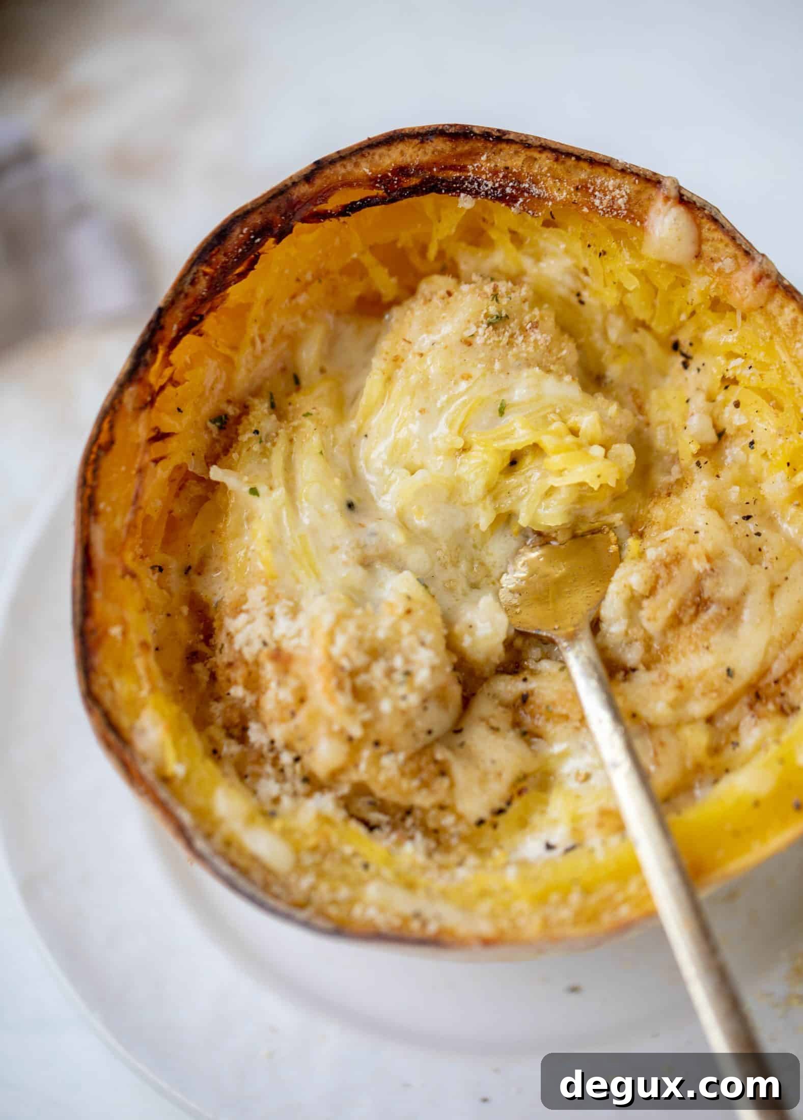 Three-Cheese Spaghetti Squash Bake: Creamy, Savory Dinner 10 Three cheese spaghetti squash in a squash bowl! Squash tossed with fontina, gruyere and parmesan to make a creamy comforting meal.