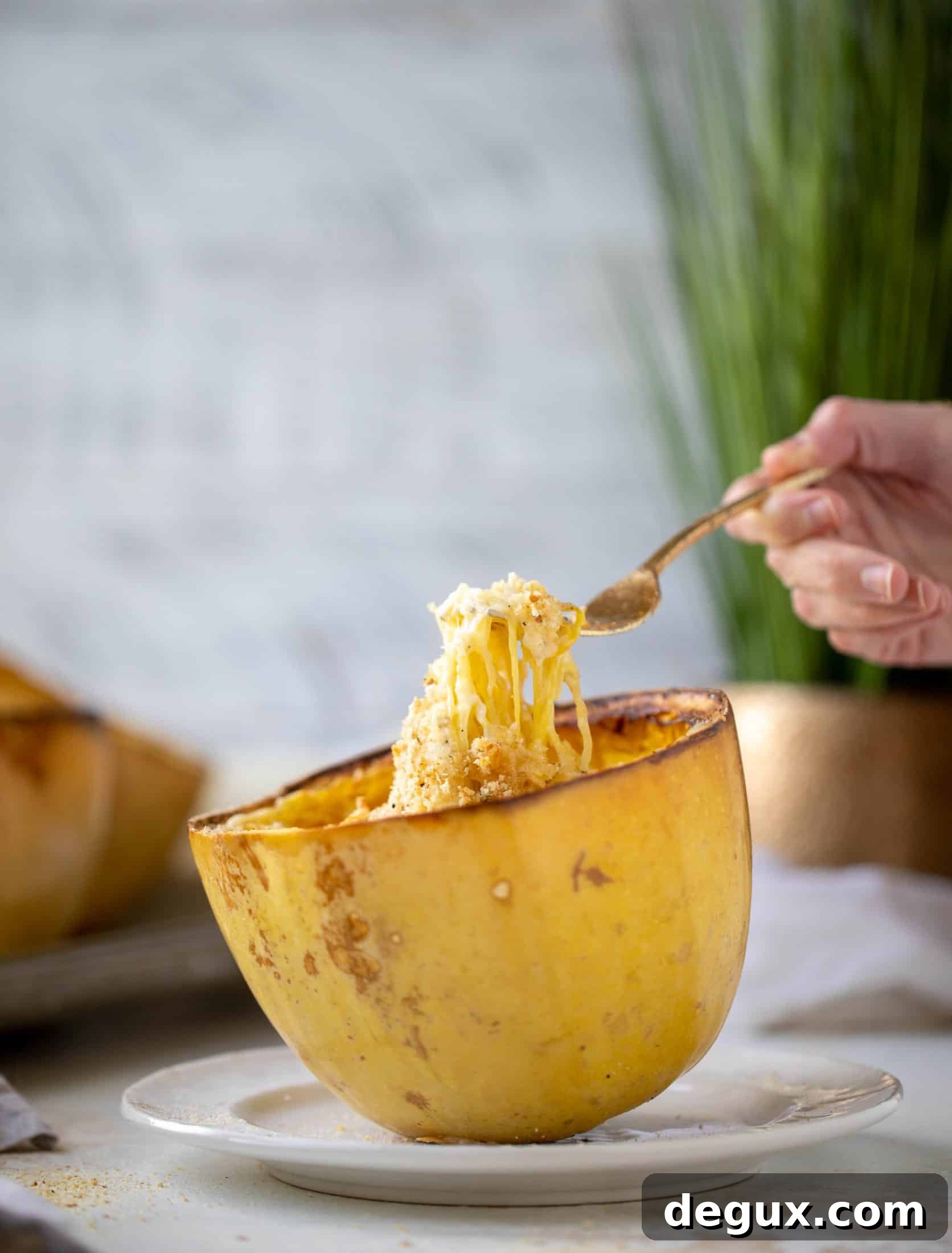 Three-Cheese Spaghetti Squash Bake: Creamy, Savory Dinner 8 Three cheese spaghetti squash in a squash bowl! Squash tossed with fontina, gruyere and parmesan to make a creamy comforting meal.