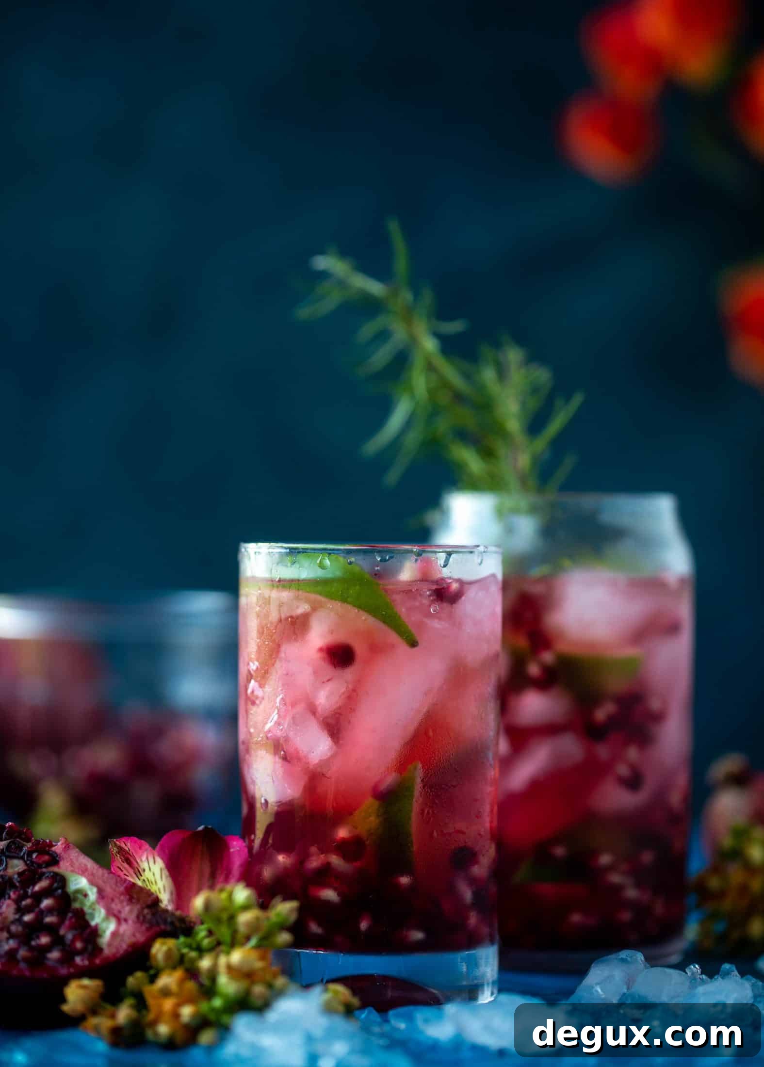 This pomegranate gin and tonic is the best way to transition your cocktail party life from the hot weather into fall! Tastes delish and looks pretty too!