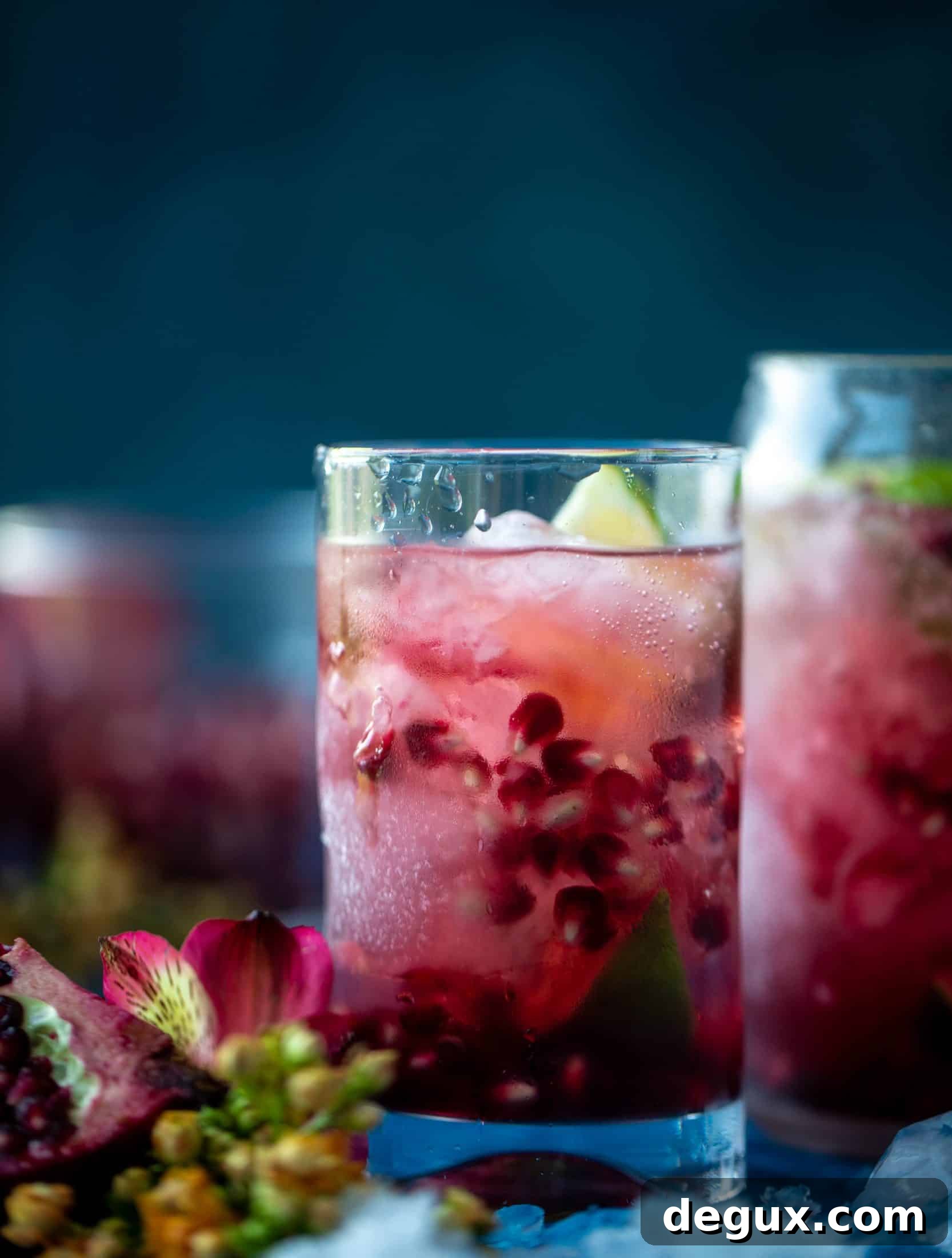 This pomegranate gin and tonic is the best way to transition your cocktail party life from the hot weather into fall! Tastes delish and looks pretty too!