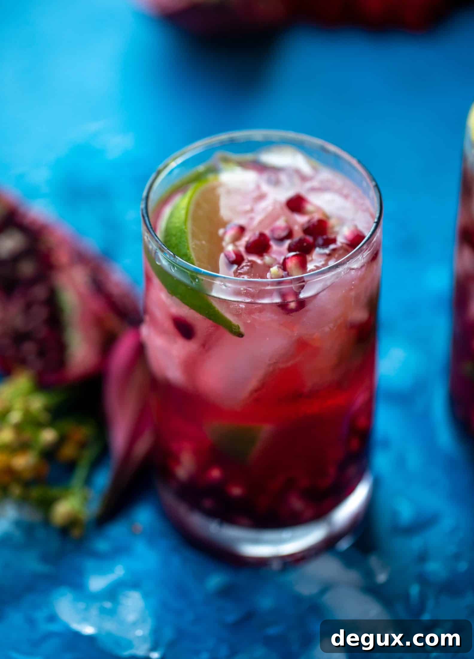This pomegranate gin and tonic is the best way to transition your cocktail party life from the hot weather into fall! Tastes delish and looks pretty too!