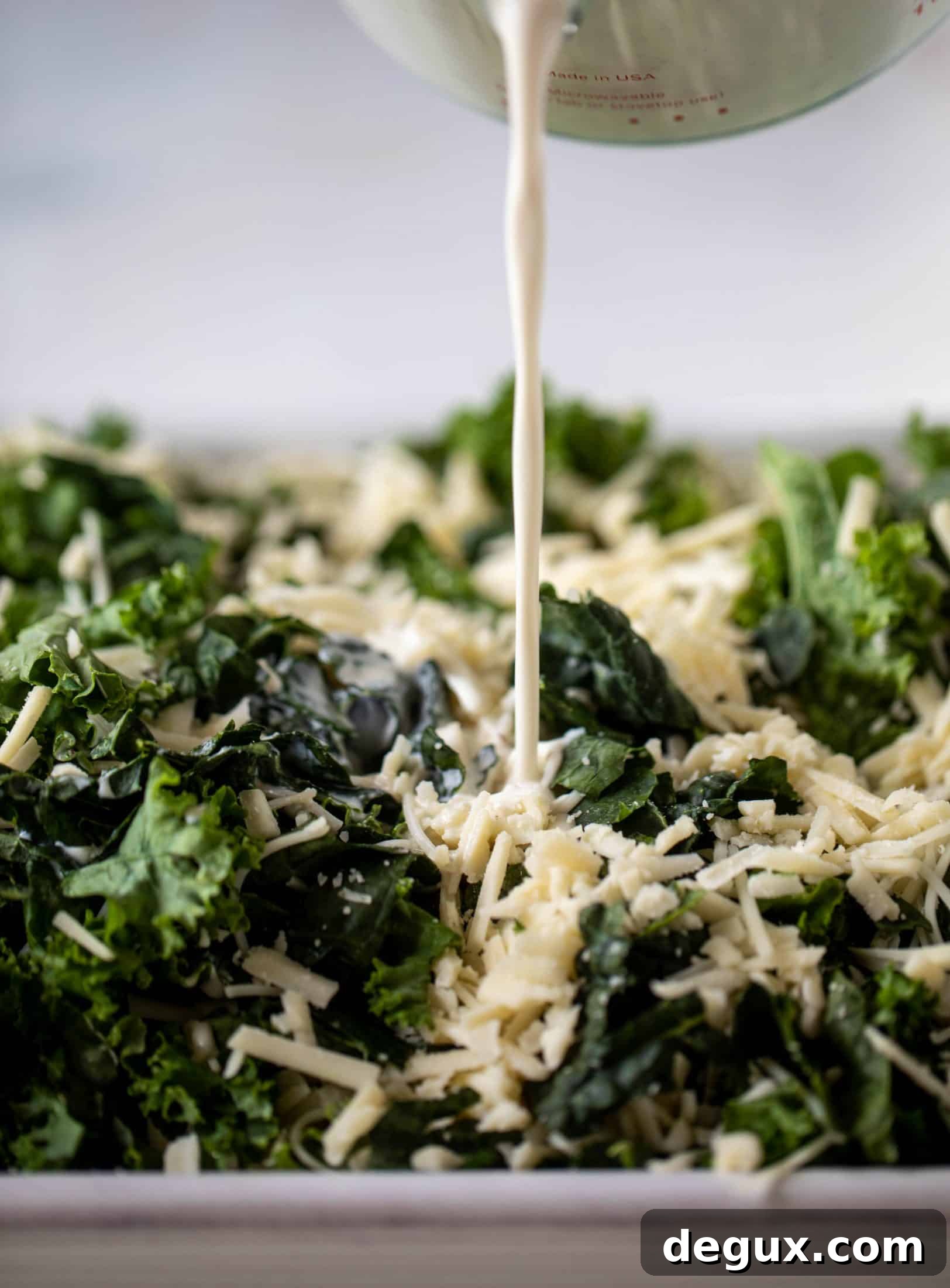 This double kale gratin has two kinds of kale, three kinds of cheese, cream and crunchy breadcrumbs. It will be your new favorite side dish!