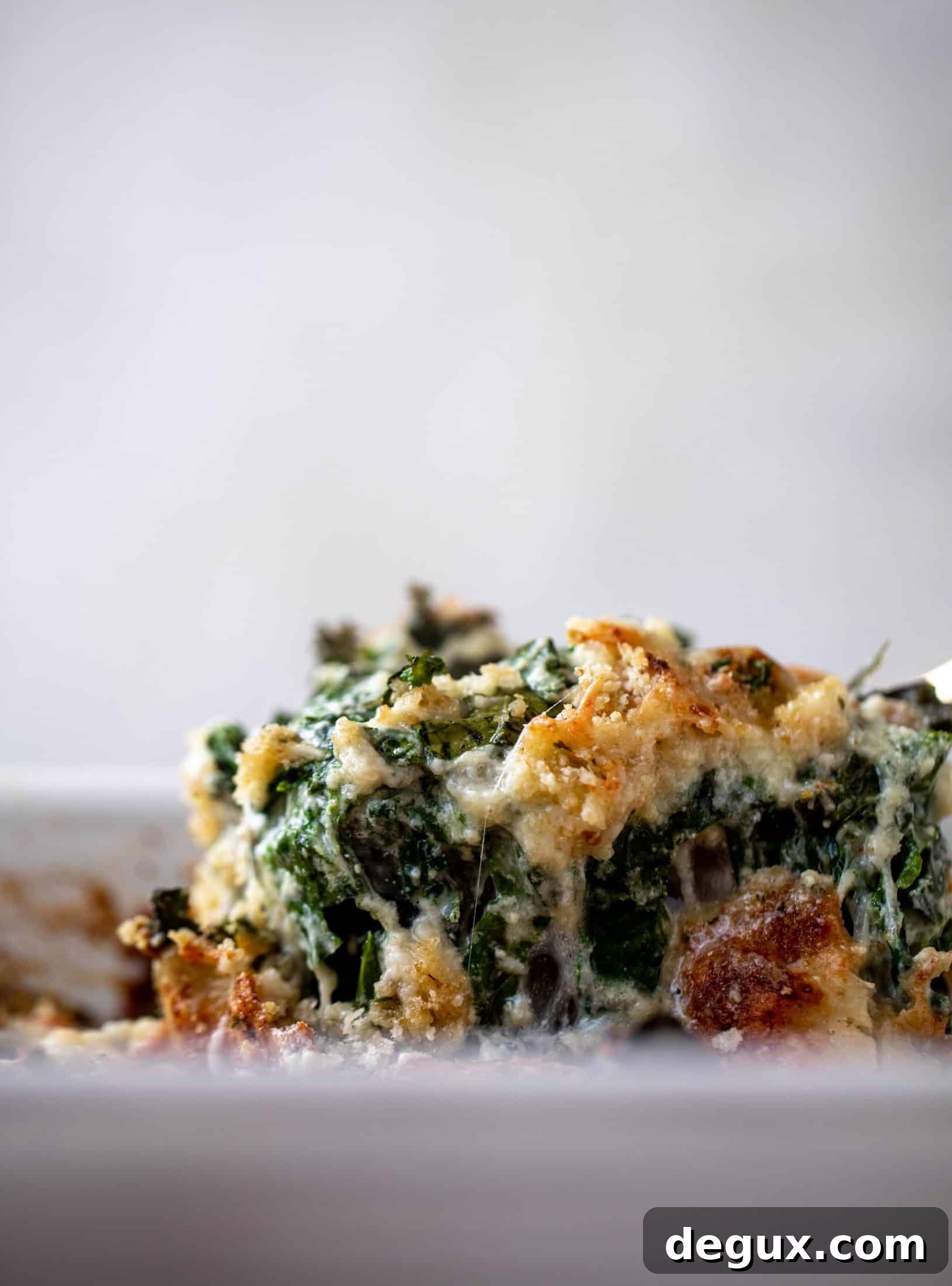 This double kale gratin has two kinds of kale, three kinds of cheese, cream and crunchy breadcrumbs. It will be your new favorite side dish!