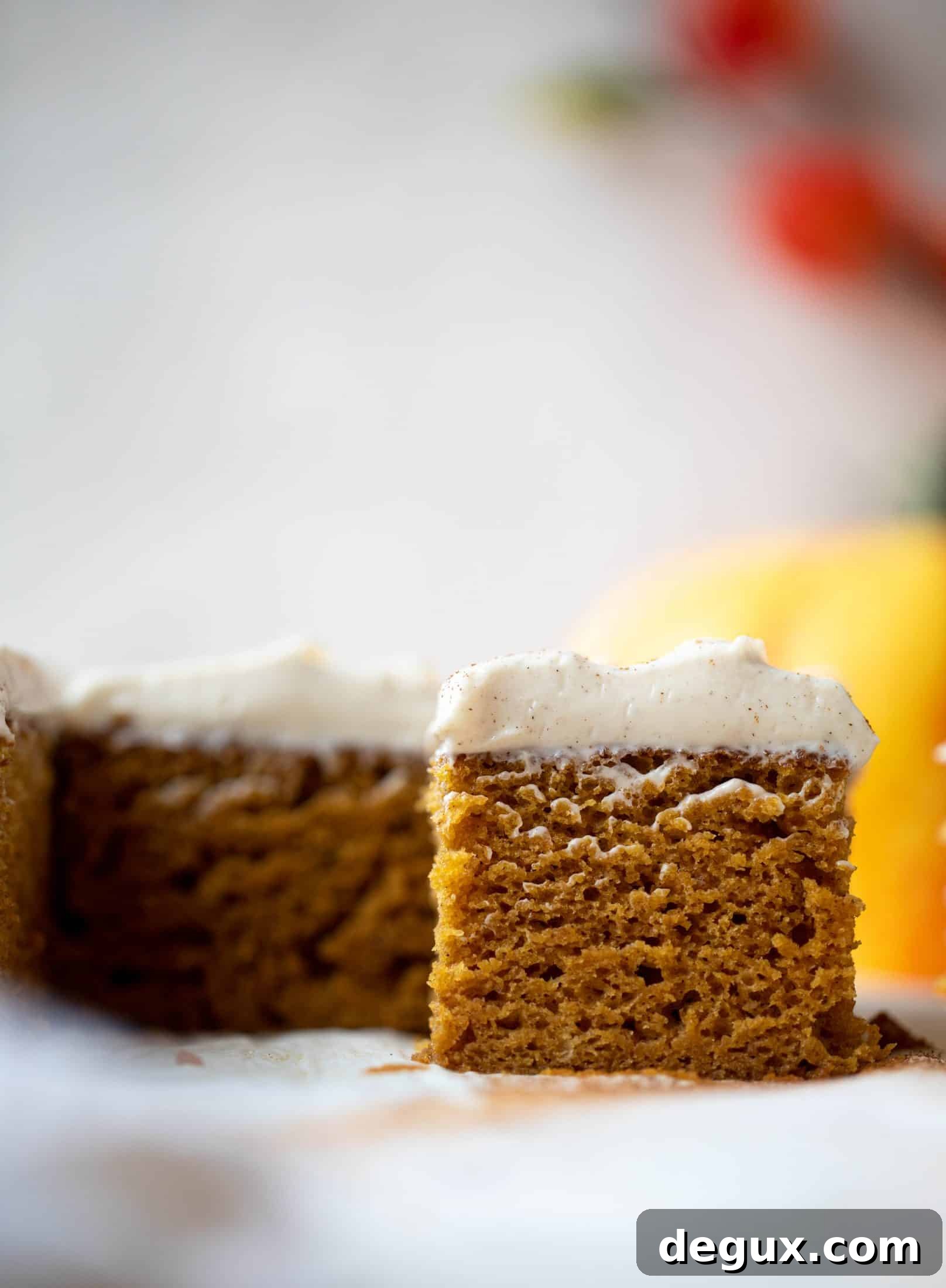 This pumpkin sheet cake is a legit pumpkin dream cake! It's so moist and fluffy and flavorful. With a blanket of cinnamon cream cheese frosting!